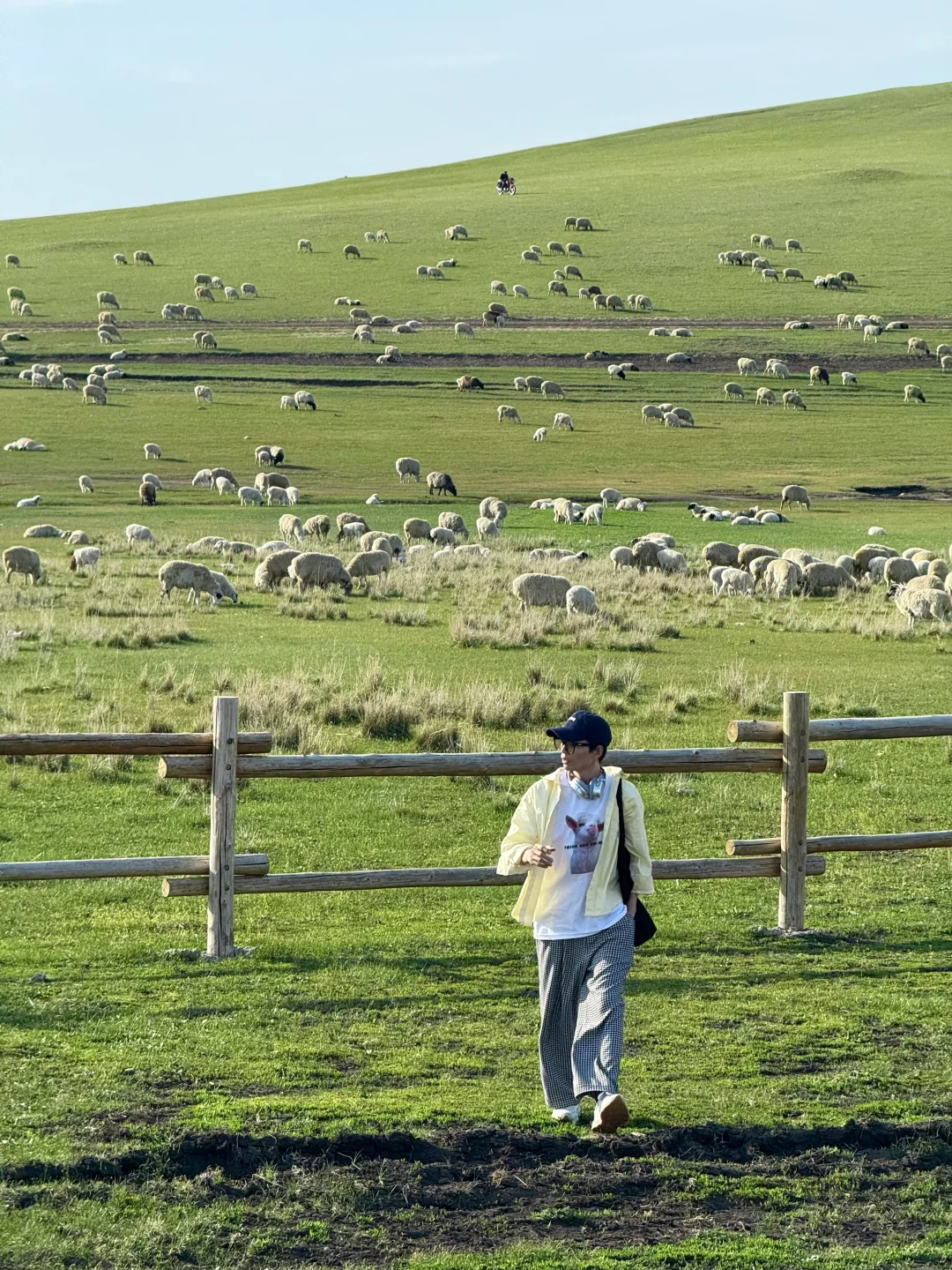 live被草原治愈了，美到让人失语～