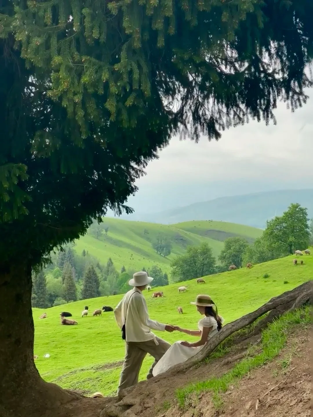 人生建议!一定要在6-7月份去一次新疆…