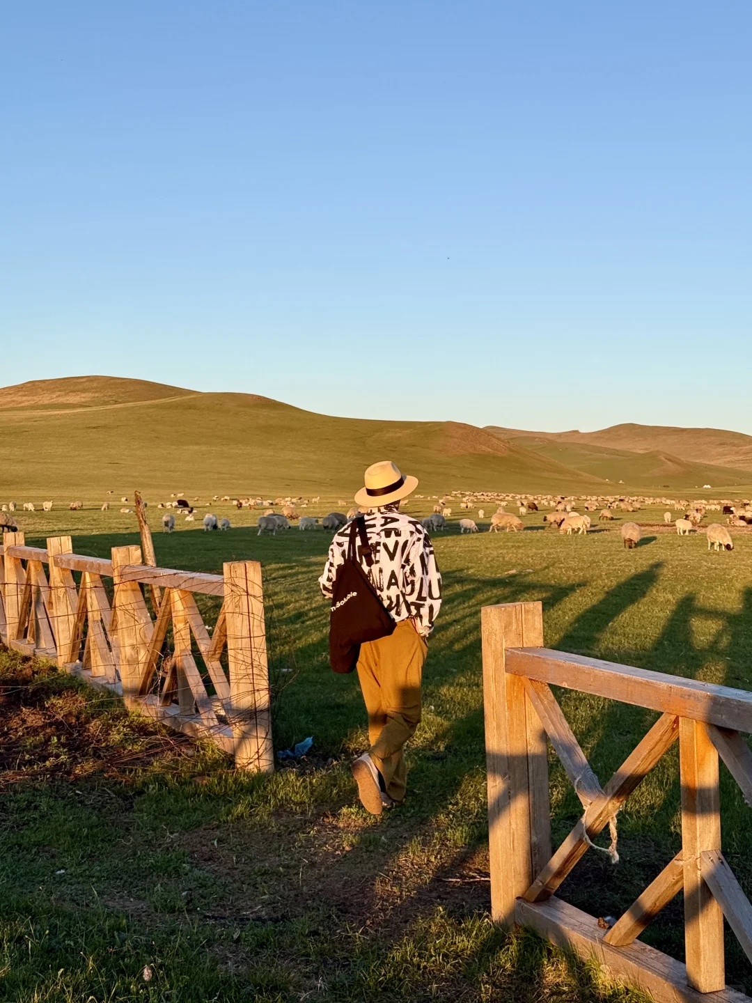 live被草原治愈了，美到让人失语～