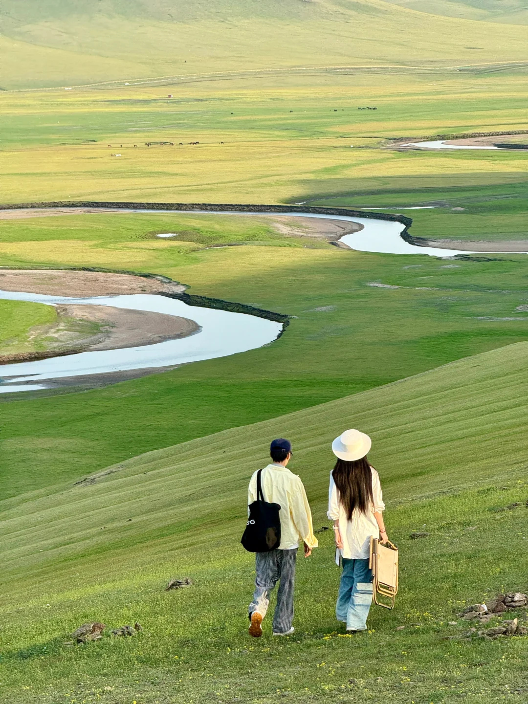 live被草原治愈了，美到让人失语～