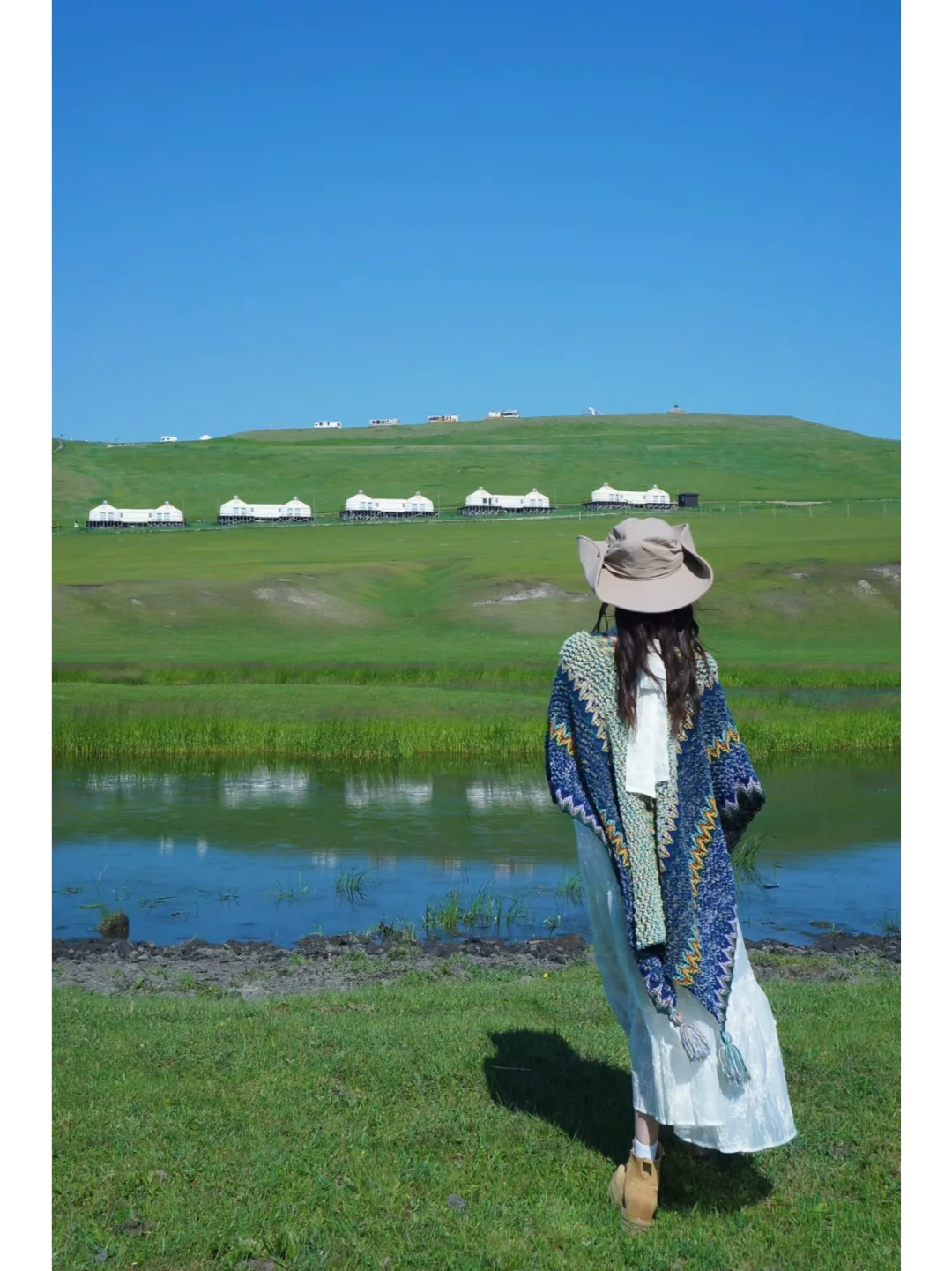 呼伦贝尔草原｜奔赴一场治愈系草原之约🌿