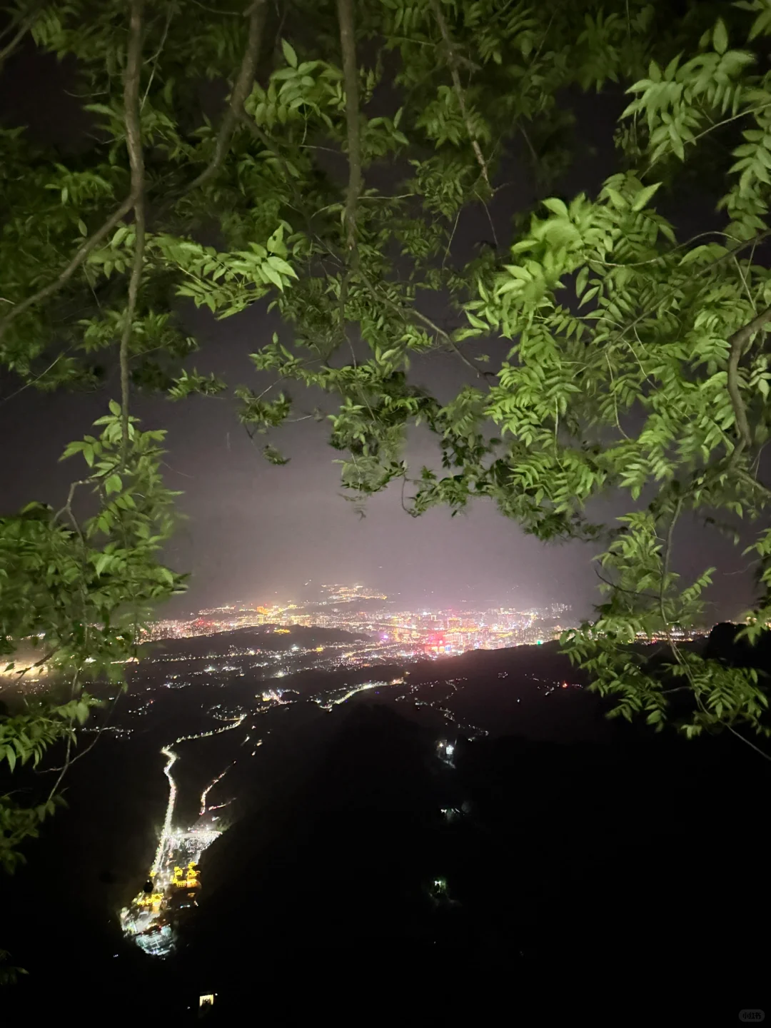 【天门山保姆级攻略｜云端漫步☁️玻璃栈道尖叫