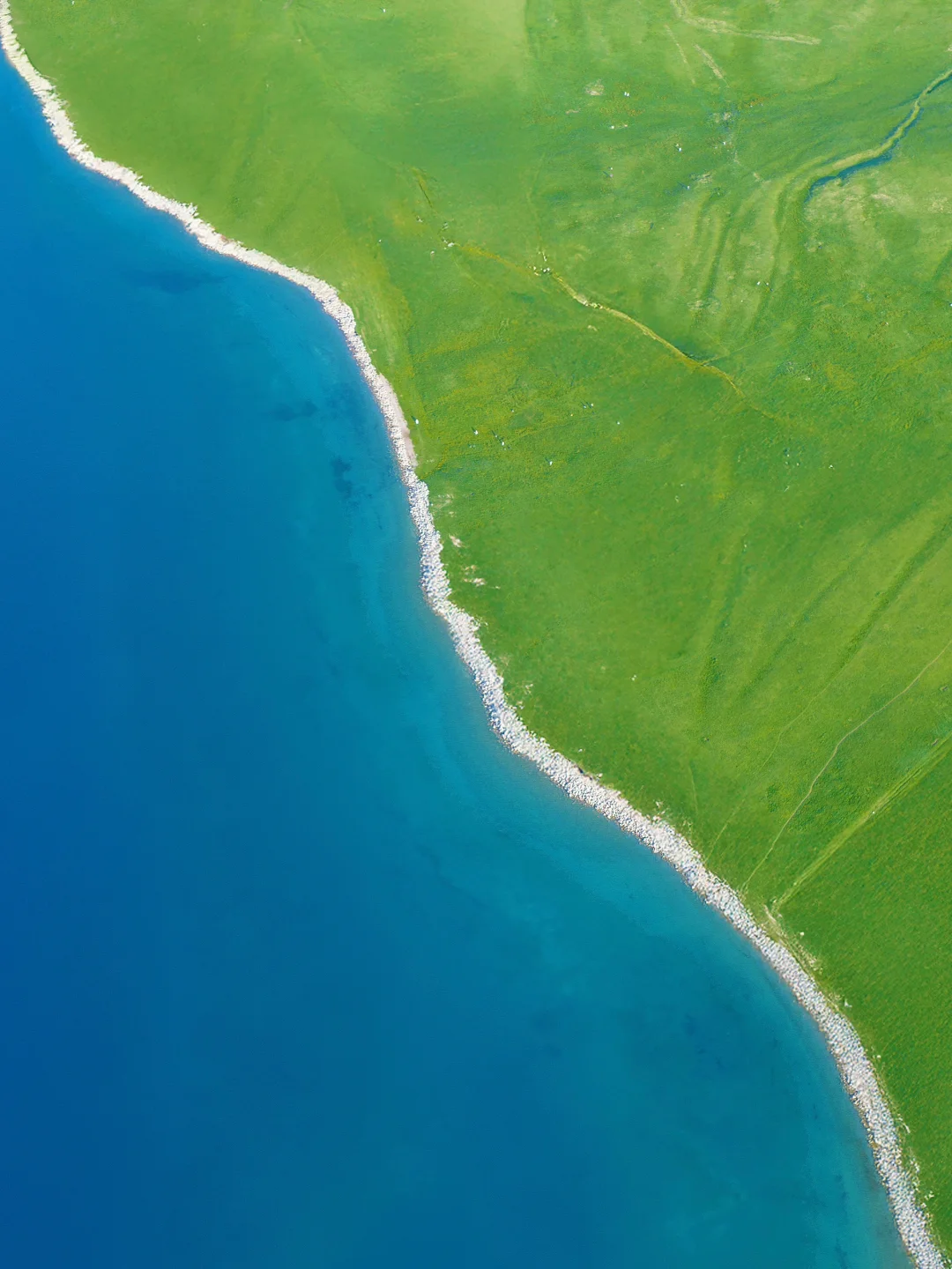 这个季节的赛里木湖真的美到next level…