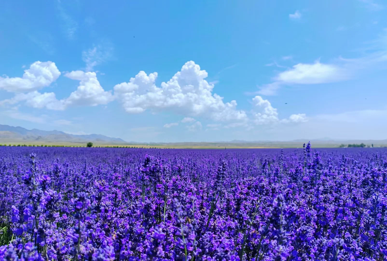 旅游到底还有谁不知道怎么玩呀!!!