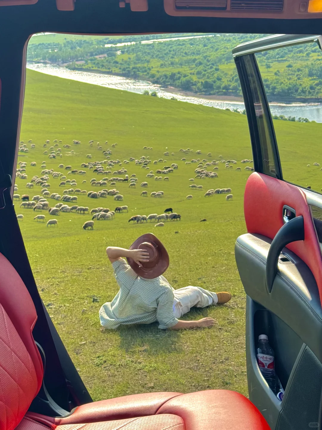 live直出!初夏的呼伦贝尔赢麻了~