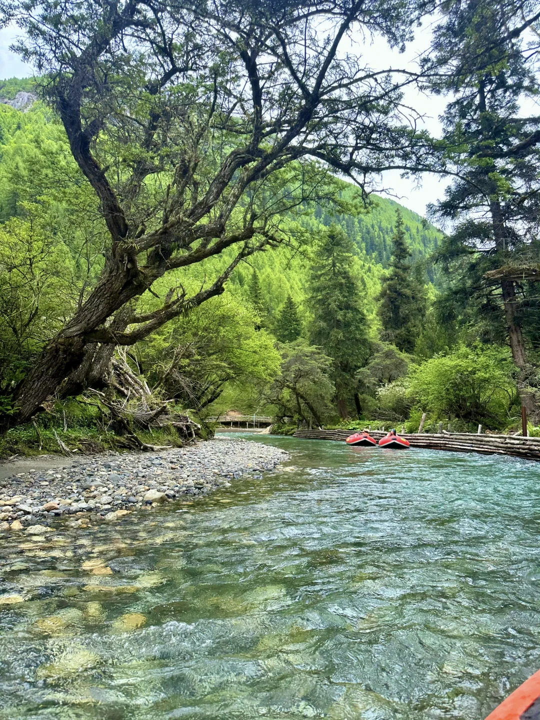 6.22📍四姑娘山已回，姐妹们能帮一个是一个