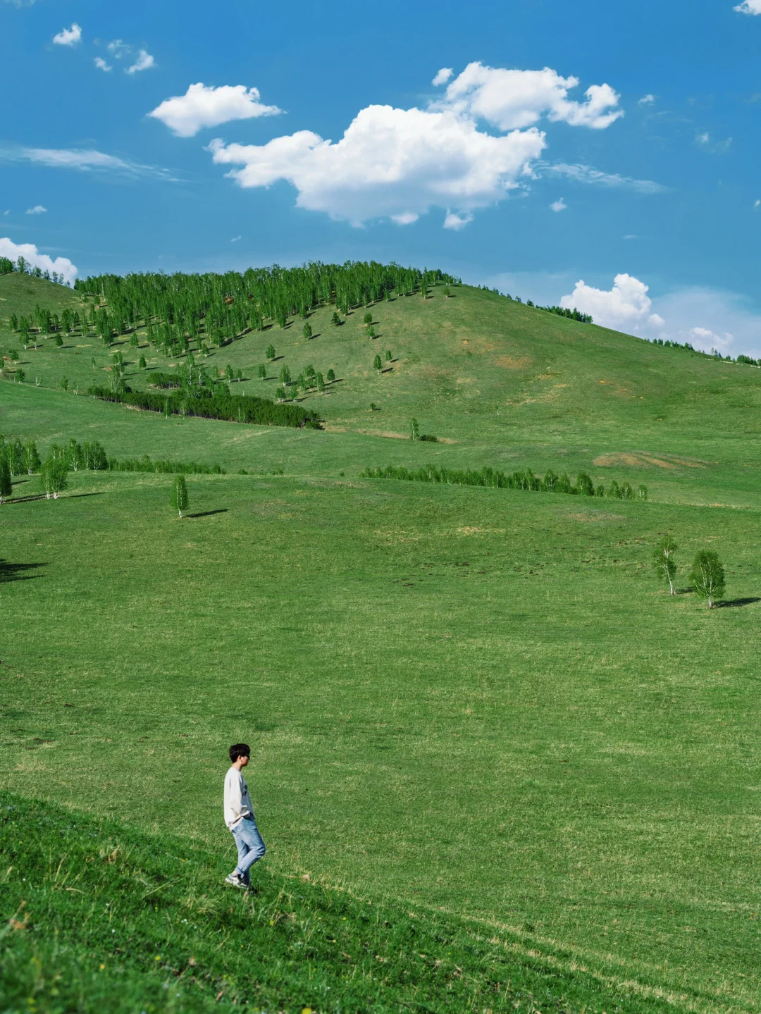 接下来的呼伦贝尔，仿佛走进漫画里一般！！！