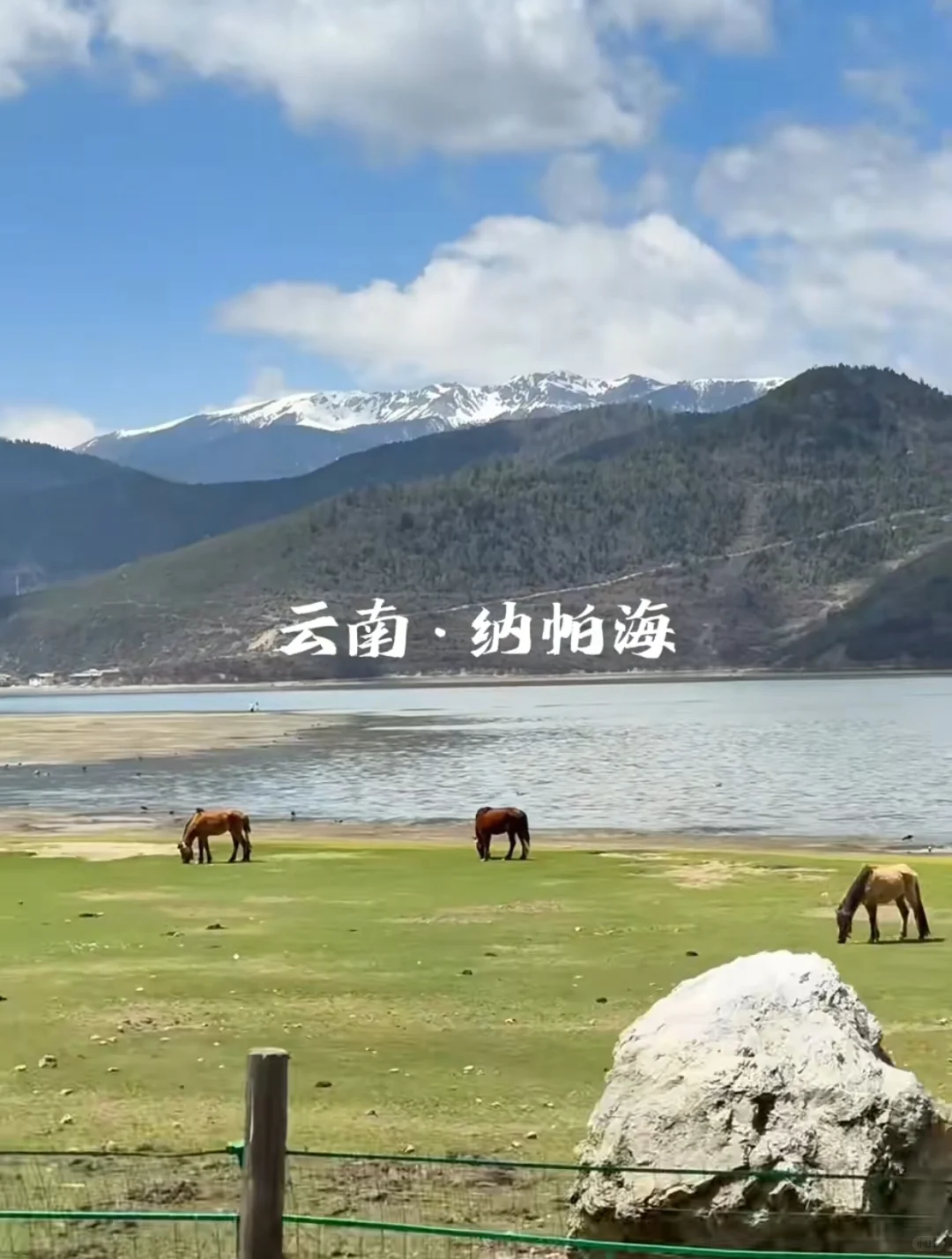 高考后云南毕业旅行|青春不留遗憾攻略