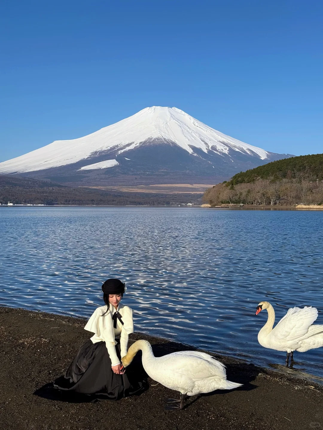日本｜富士山🗻山中湖绝美粉色日出平野之浜