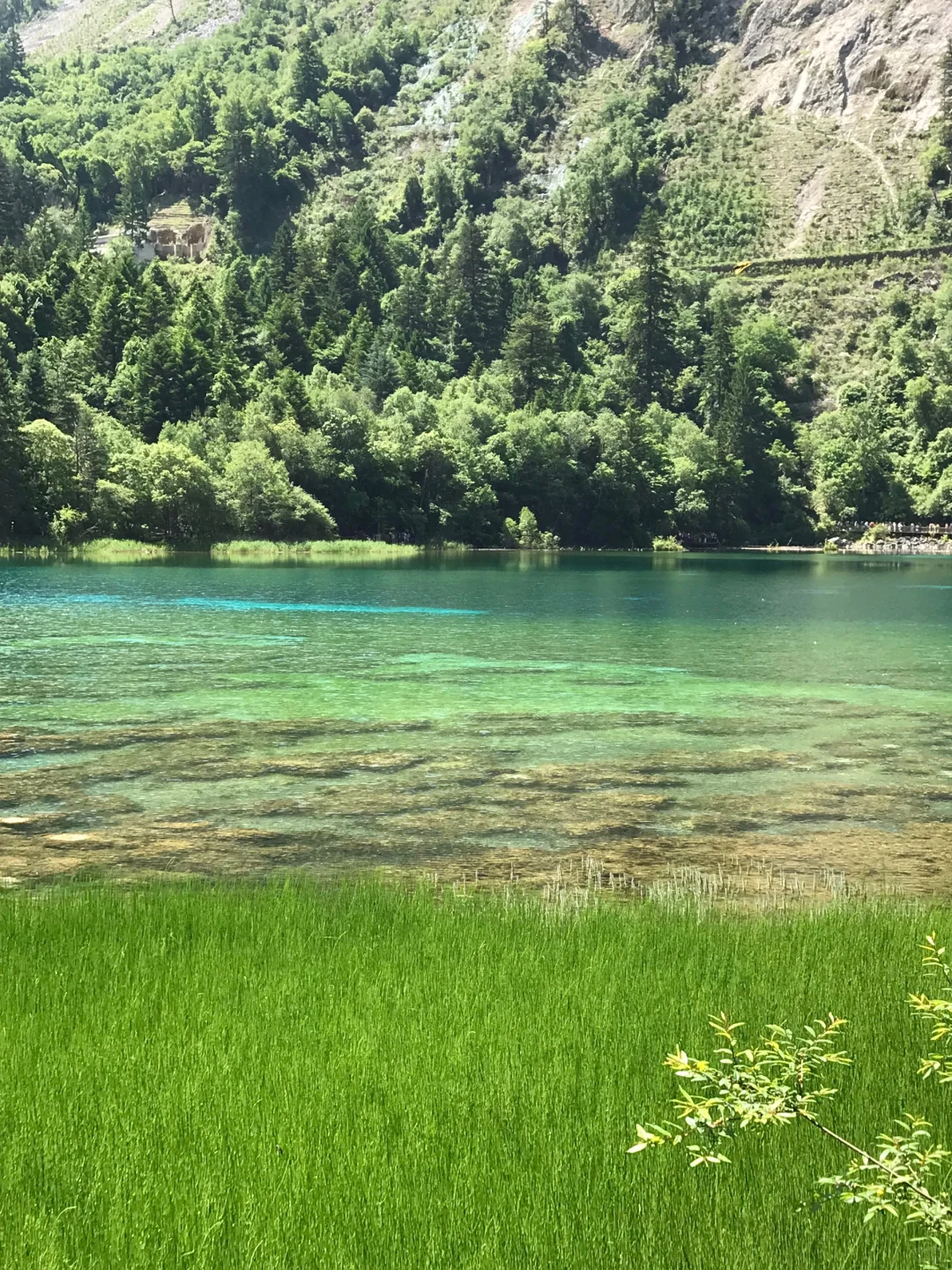 6.16📍九寨沟崩溃已回，要来的慎重考虑