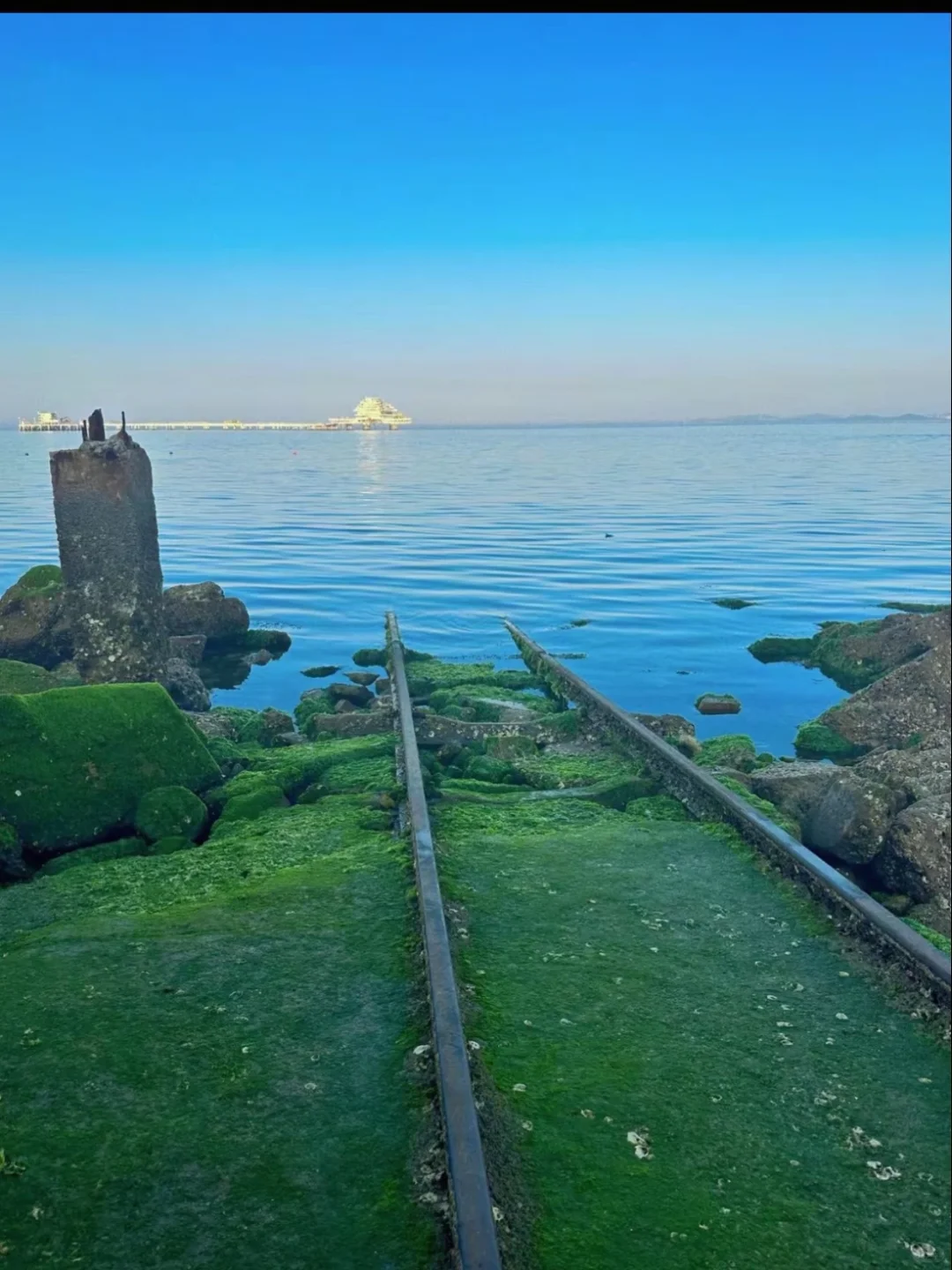 在烟台,我找到了比济州岛更治愈的蓝🏝