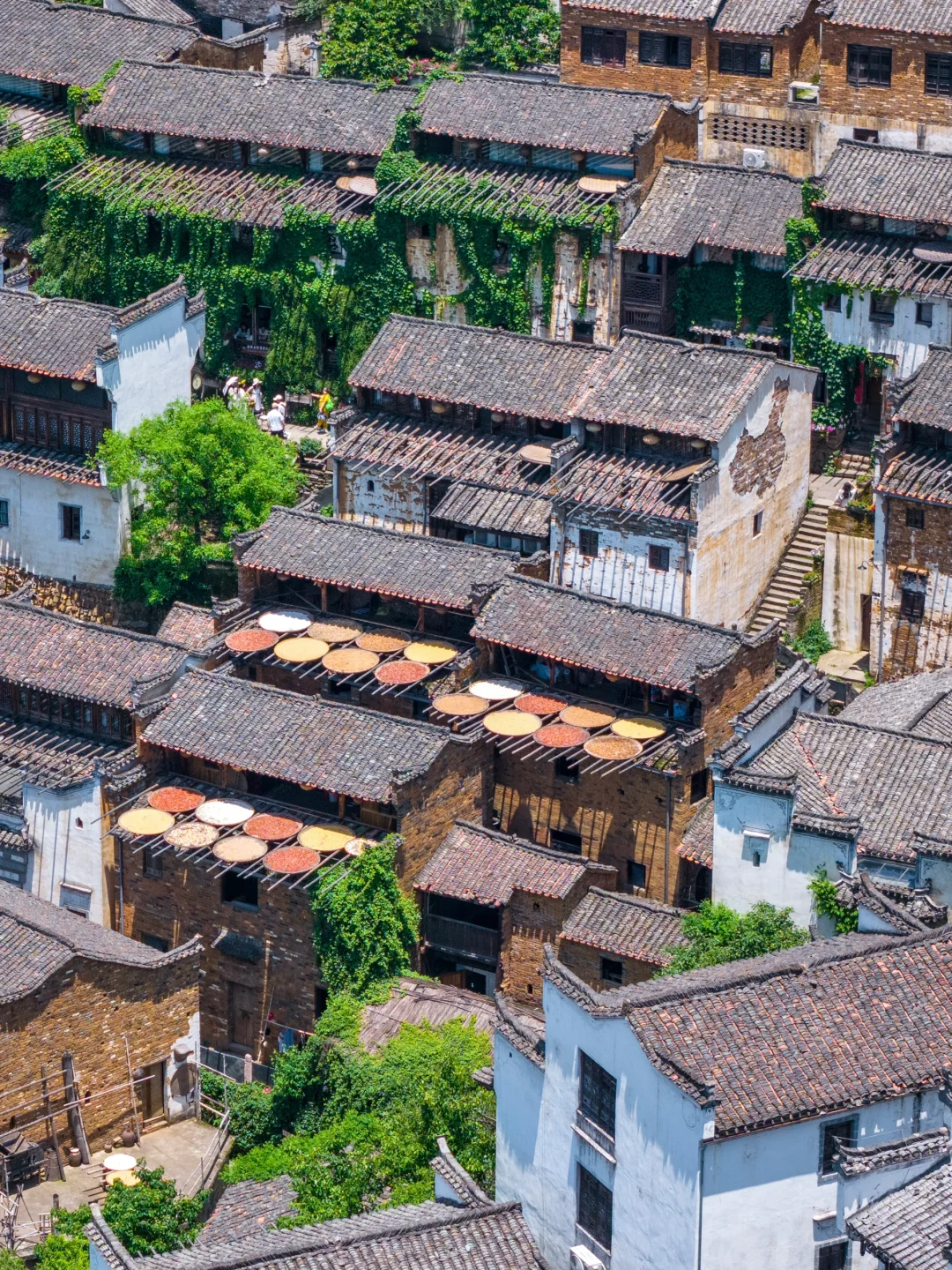 江浙沪周末出发，我最喜欢的去班味小城‼️
