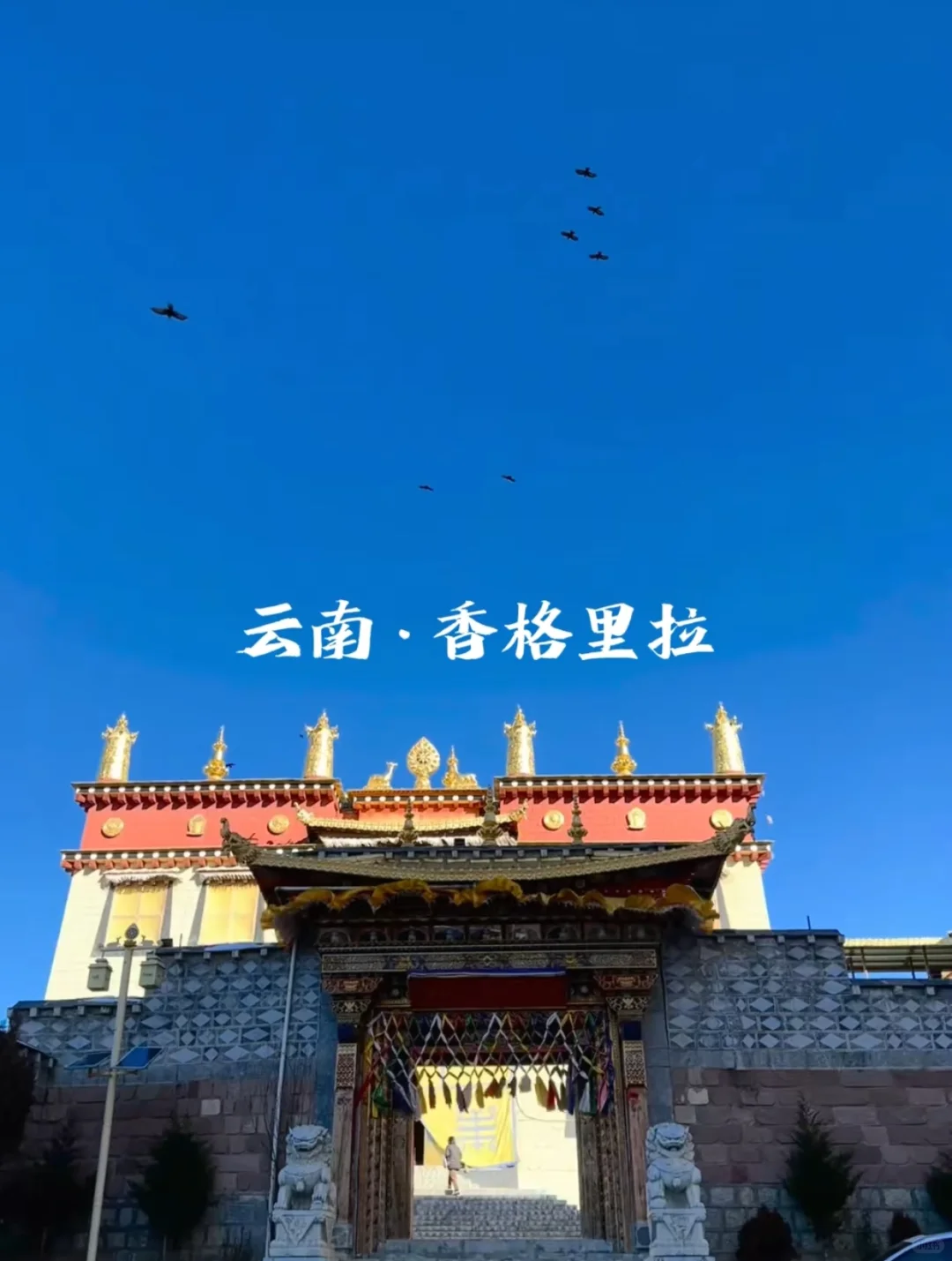 高考后云南毕业旅行|青春不留遗憾攻略