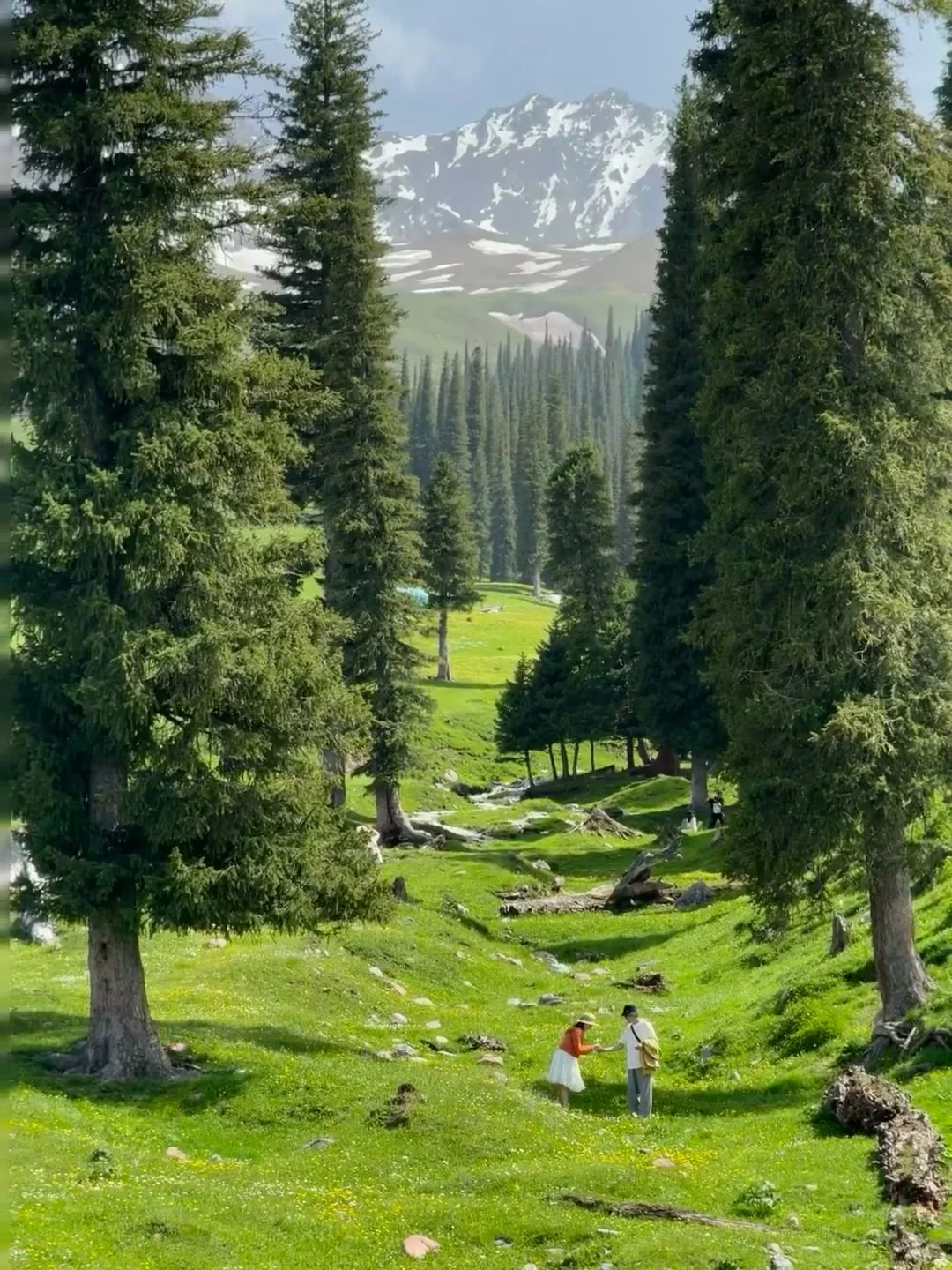 人生建议!一定要在6-7月份去一次新疆…