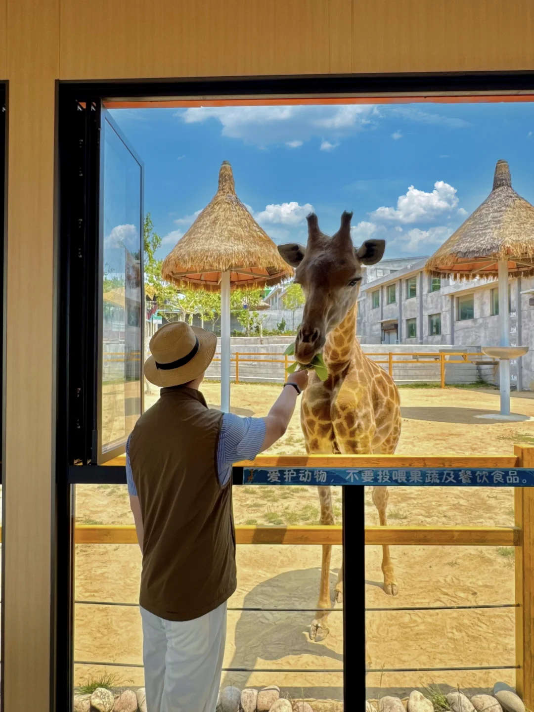 第一次去威海❗️直接复制这条citywalk攻略