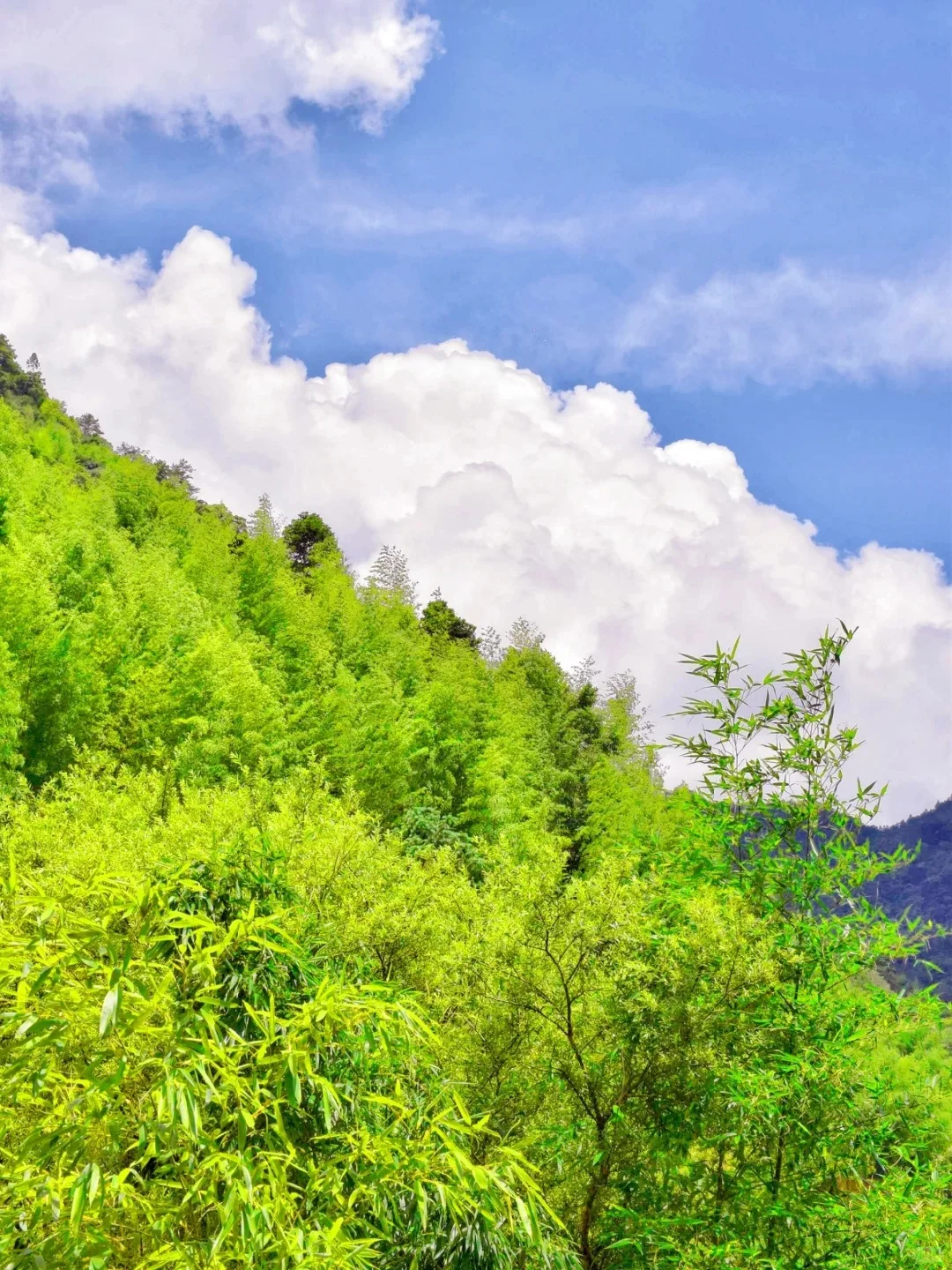 推荐一个绝对冷门但超级震撼的地方……