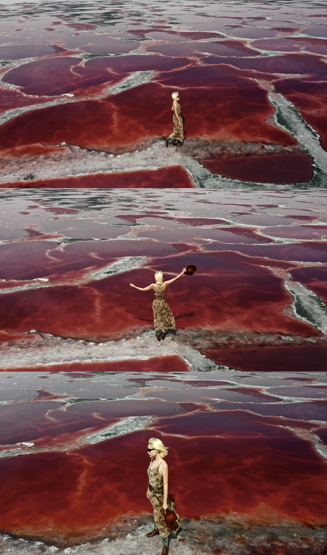 地球的心脏去了🫀没！白！活！