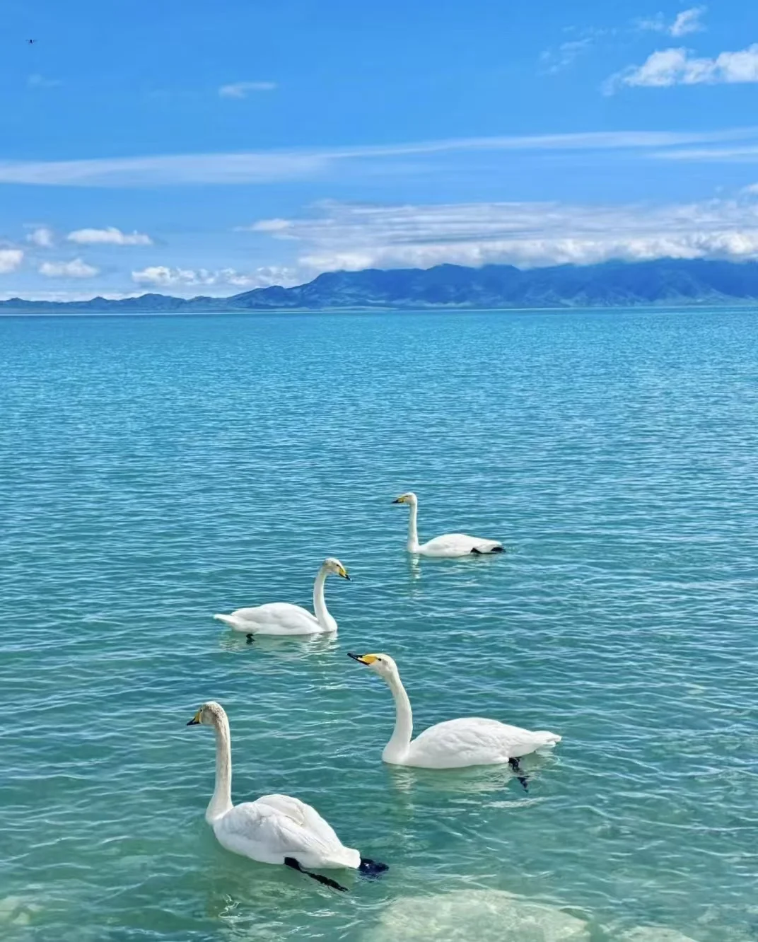 旅游到底还有谁不知道怎么玩呀!!!