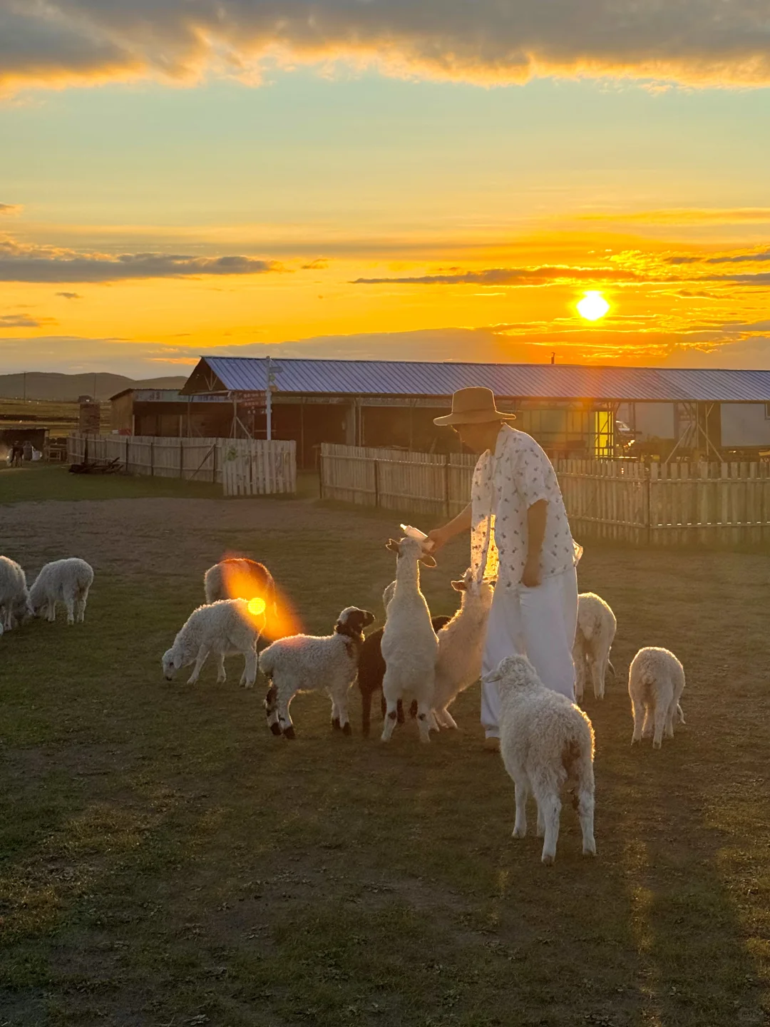 live直出!初夏的呼伦贝尔赢麻了~