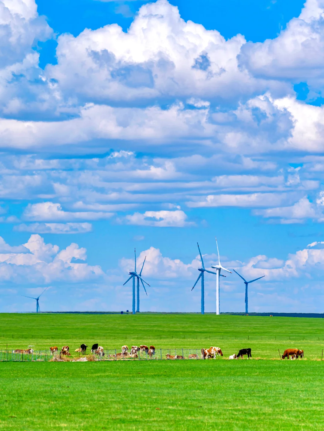 接下来的呼伦贝尔，仿佛走进漫画里一般！！！