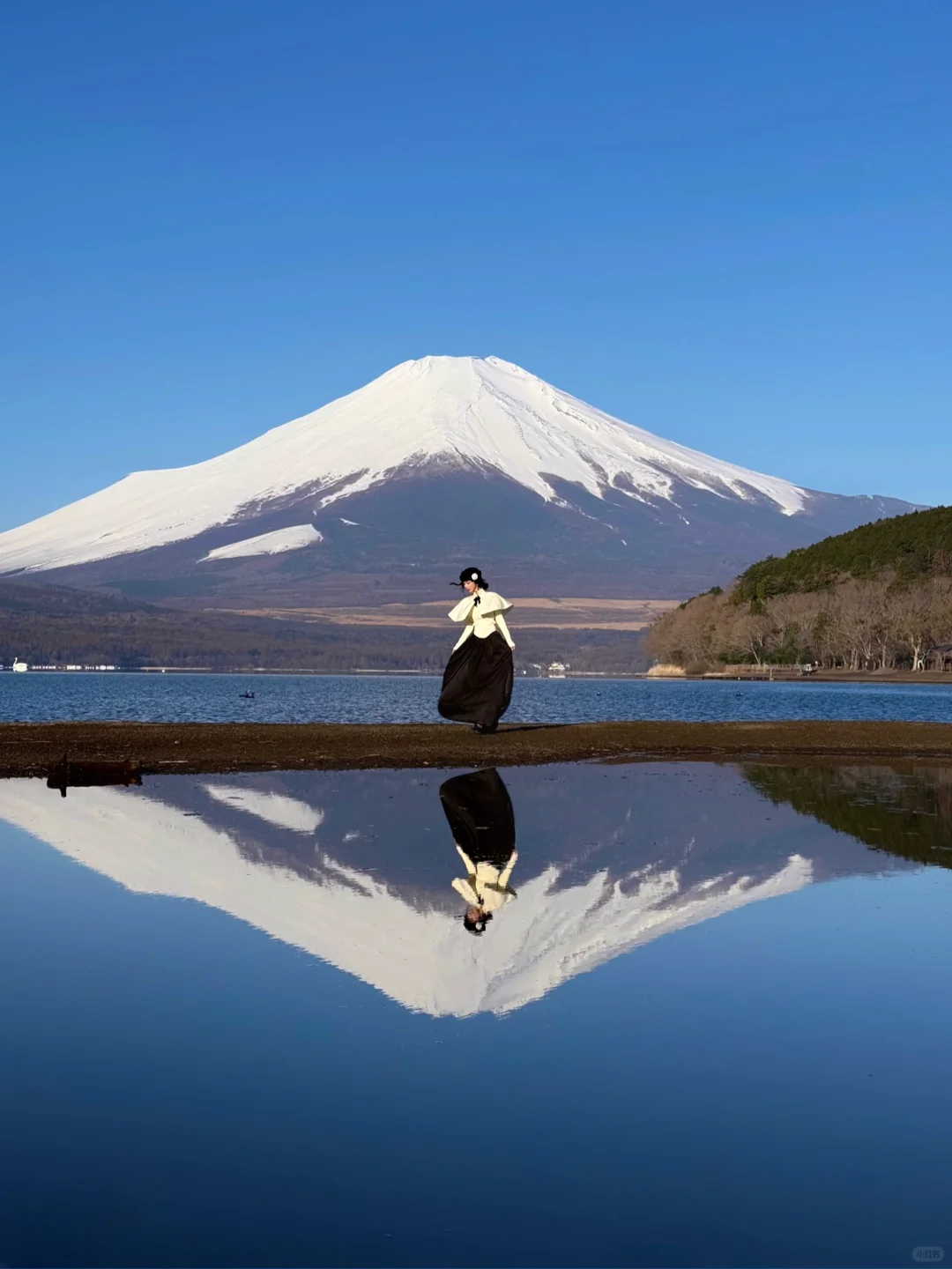 日本｜富士山🗻山中湖绝美粉色日出平野之浜