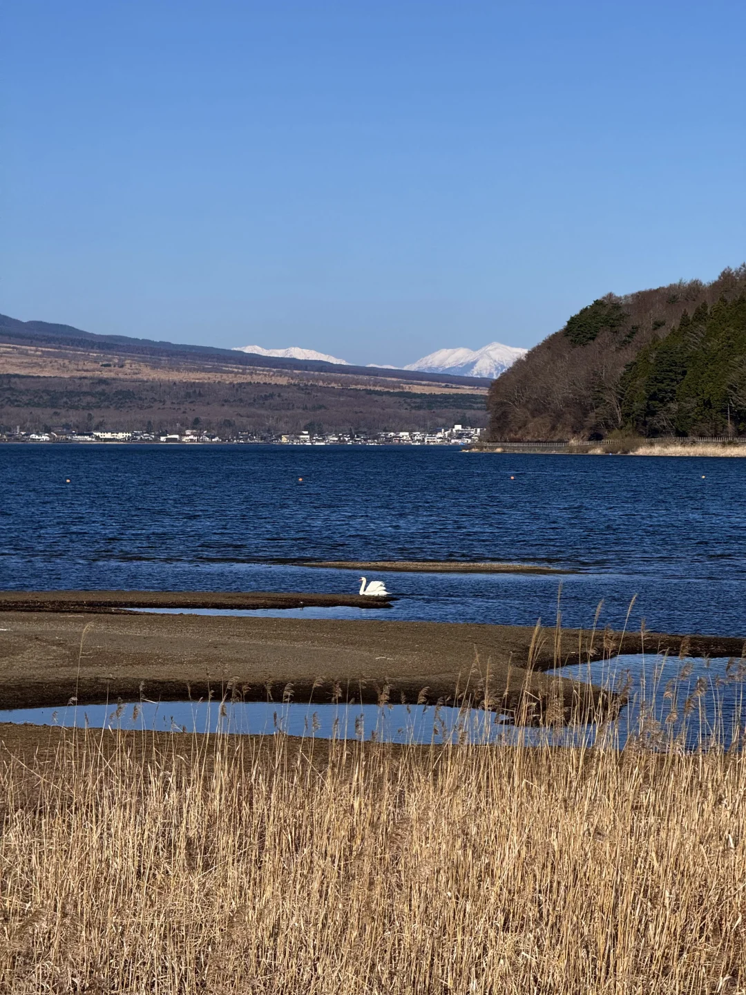 日本｜富士山🗻山中湖绝美粉色日出平野之浜