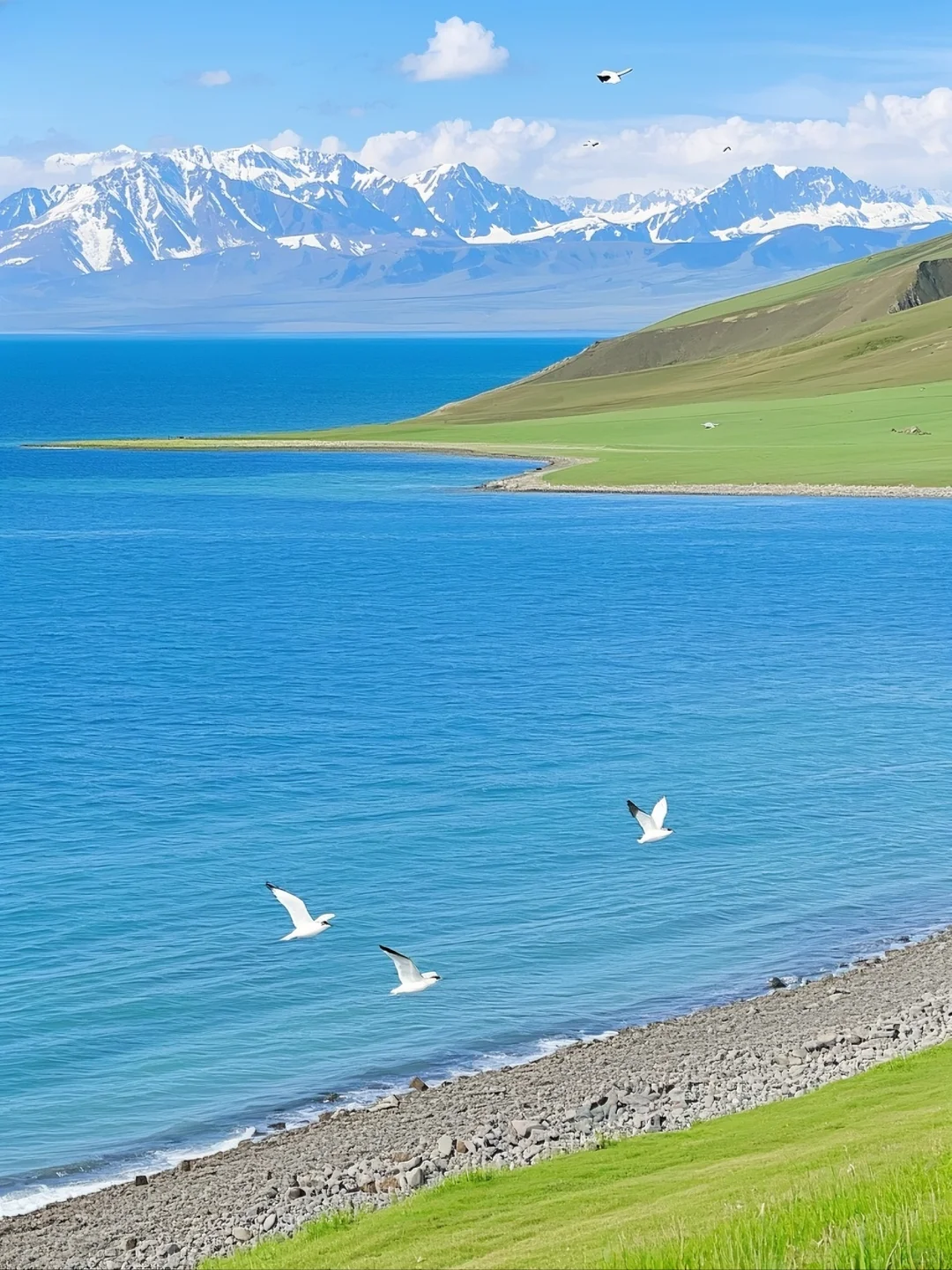 夏天的赛里木湖,不是只有美这么简单!