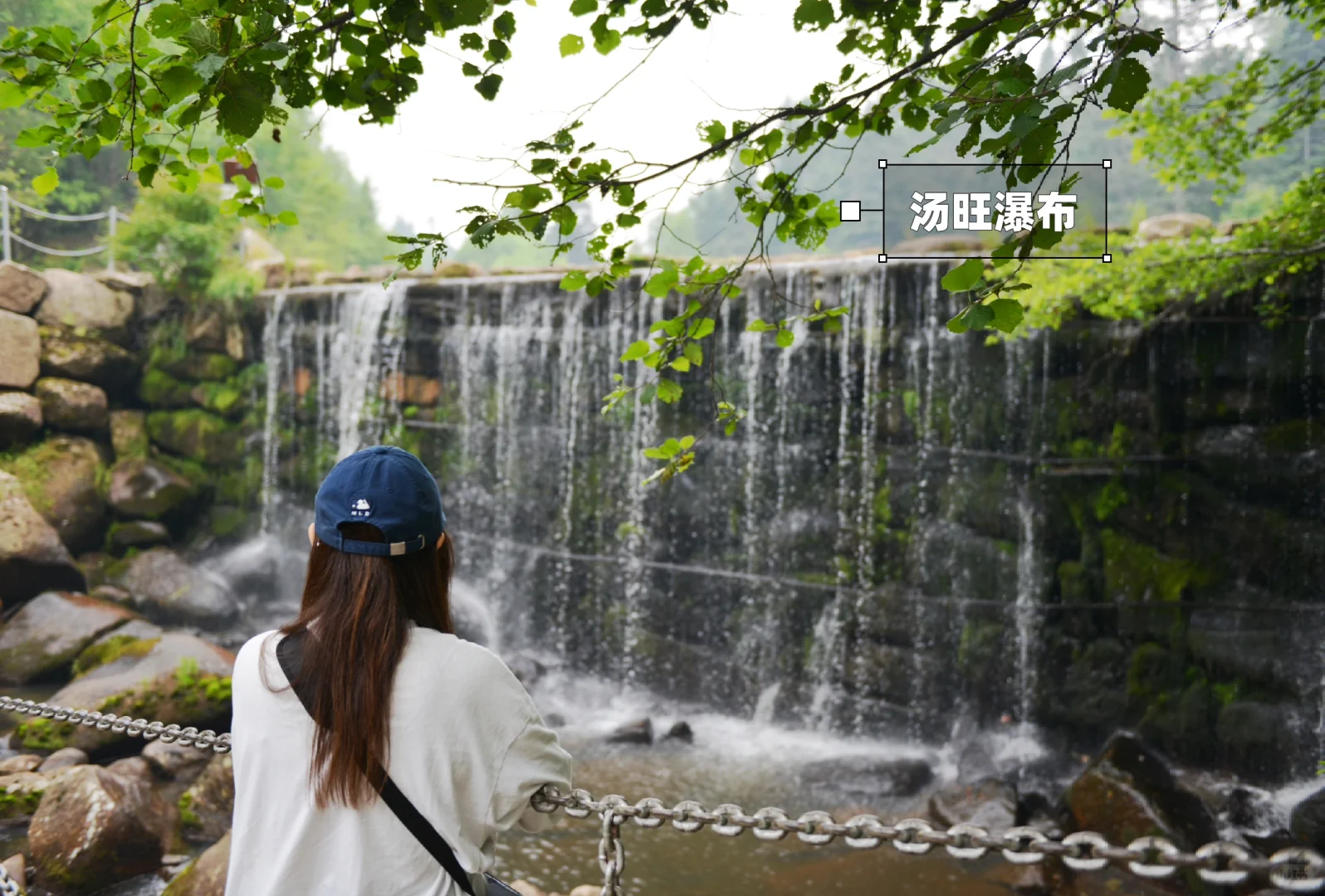 炎炎夏日，在20℃的伊春避暑🍃