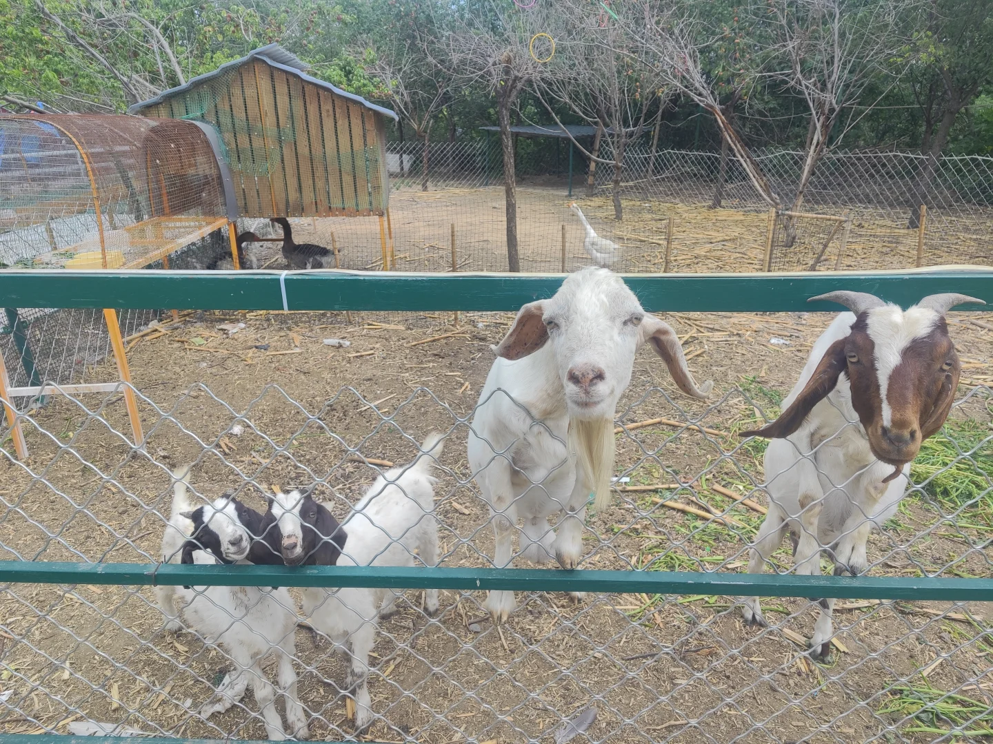 ✨邯郸遛娃👣沁河源景区