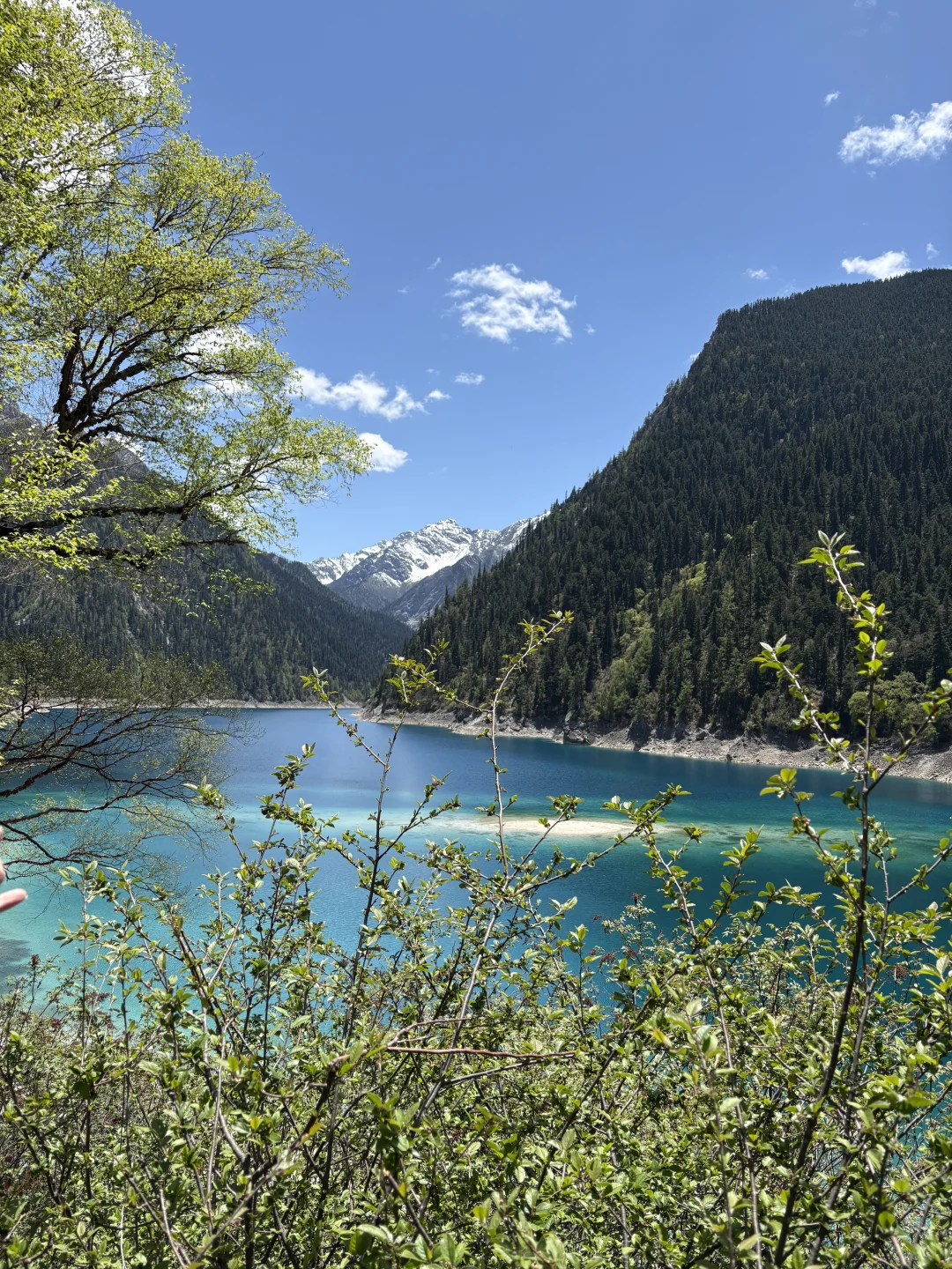 3天畅玩四川3大IP🌴九寨沟若尔盖四姑娘山