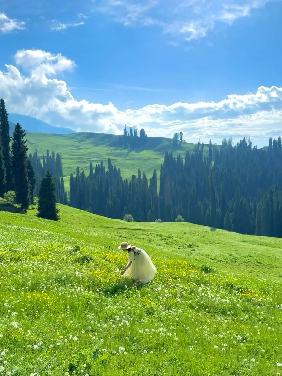 人生建议!一定要在6-7月份去一次新疆…