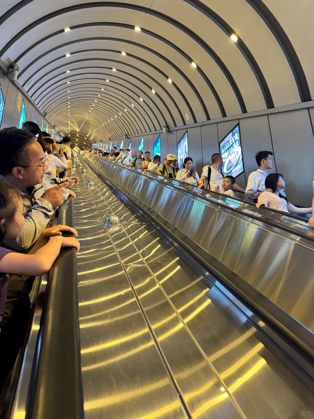 【天门山保姆级攻略｜云端漫步☁️玻璃栈道尖叫