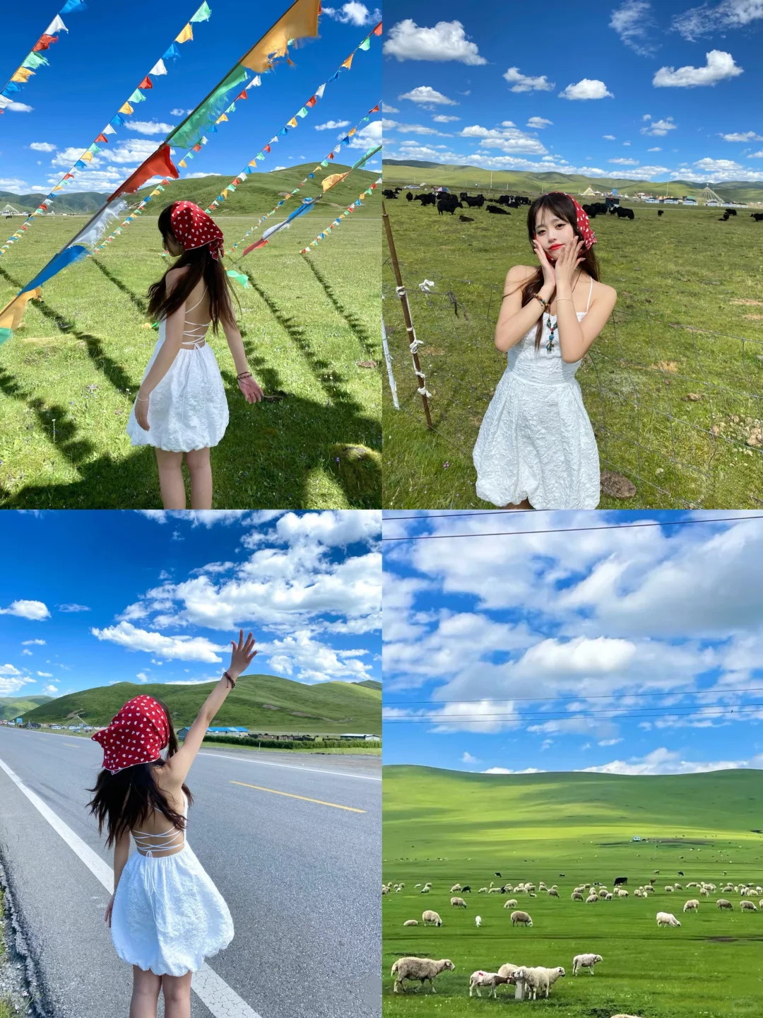 3天畅玩四川3大IP🌴九寨沟若尔盖四姑娘山