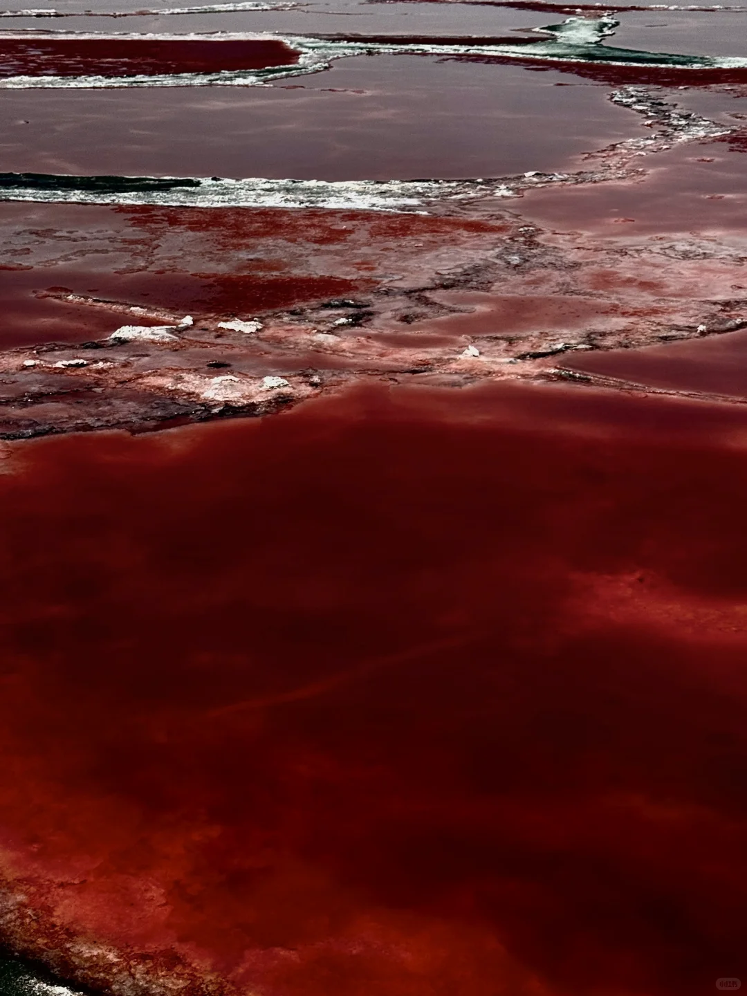 地球的心脏去了🫀没！白！活！