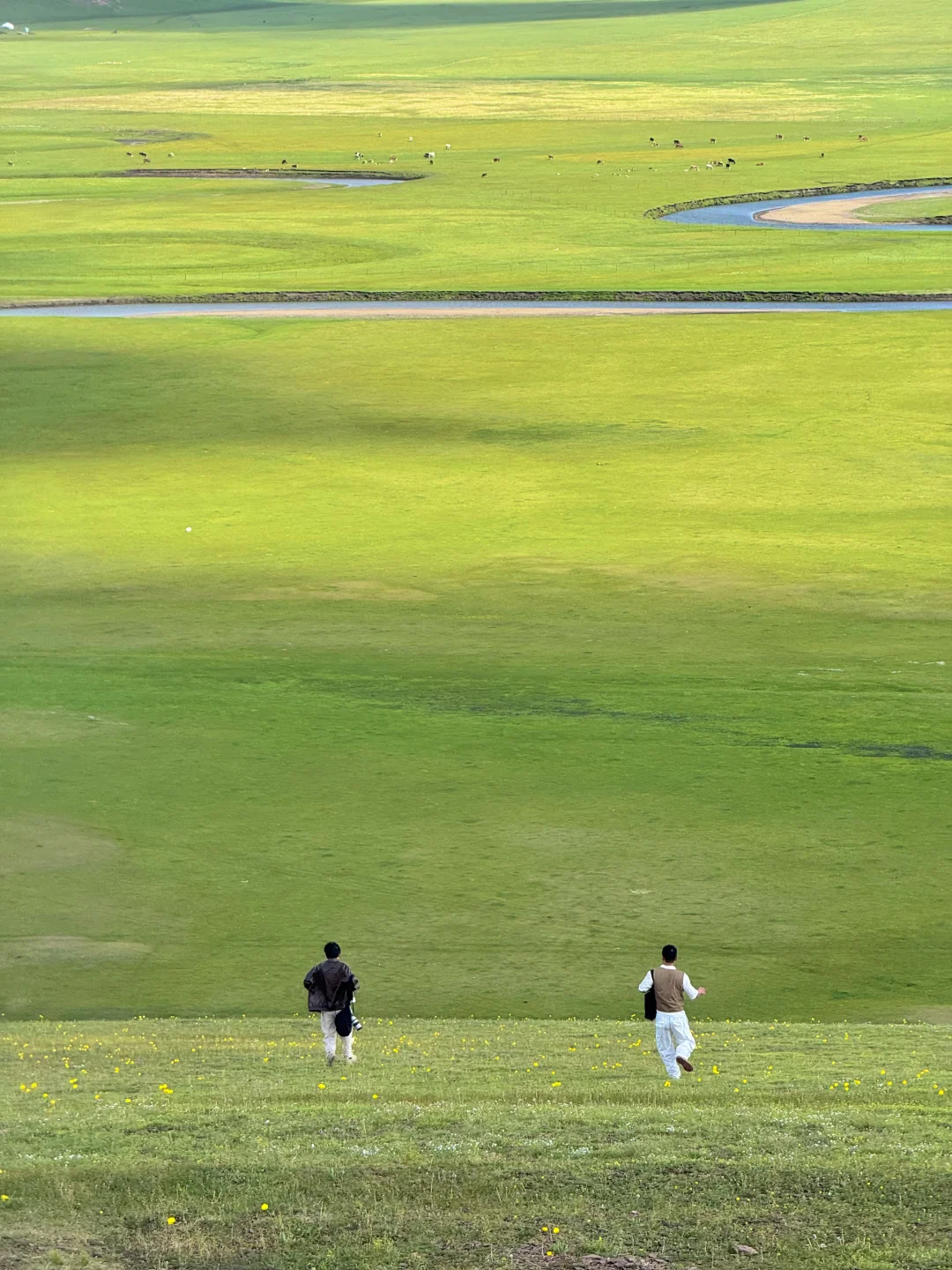 live直出!初夏的呼伦贝尔赢麻了~