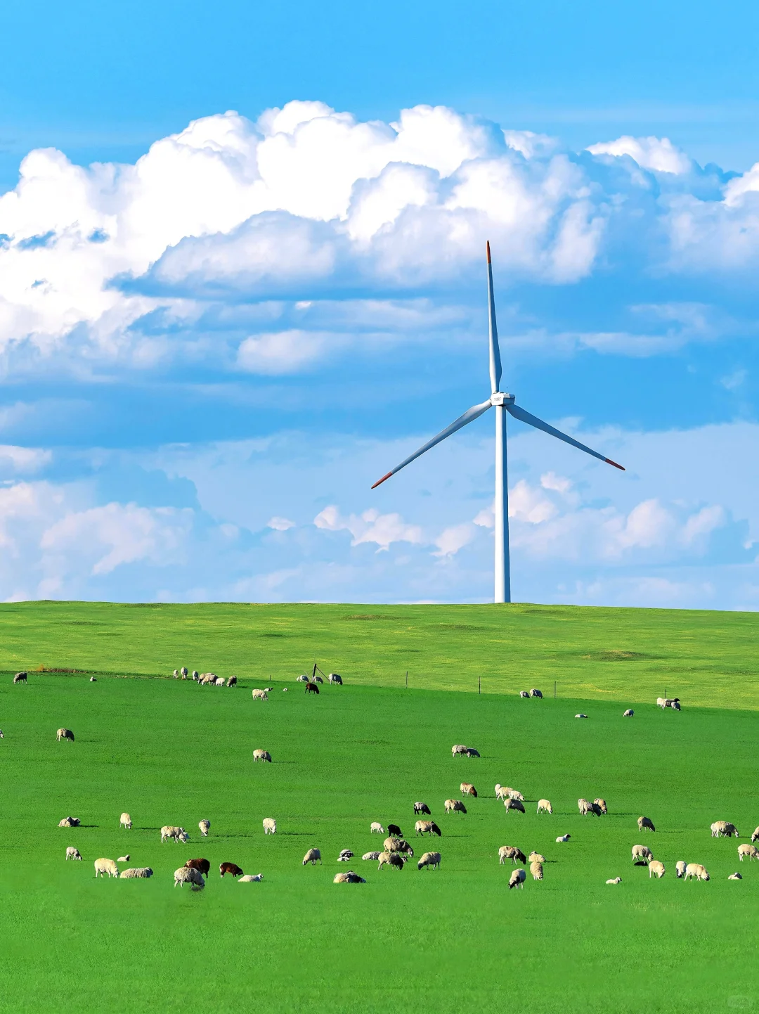 接下来的呼伦贝尔，仿佛走进漫画里一般！！！