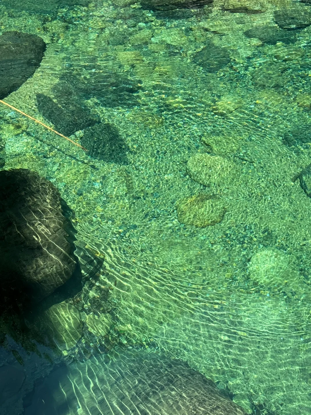 果冻湖狂热粉丝狂喜