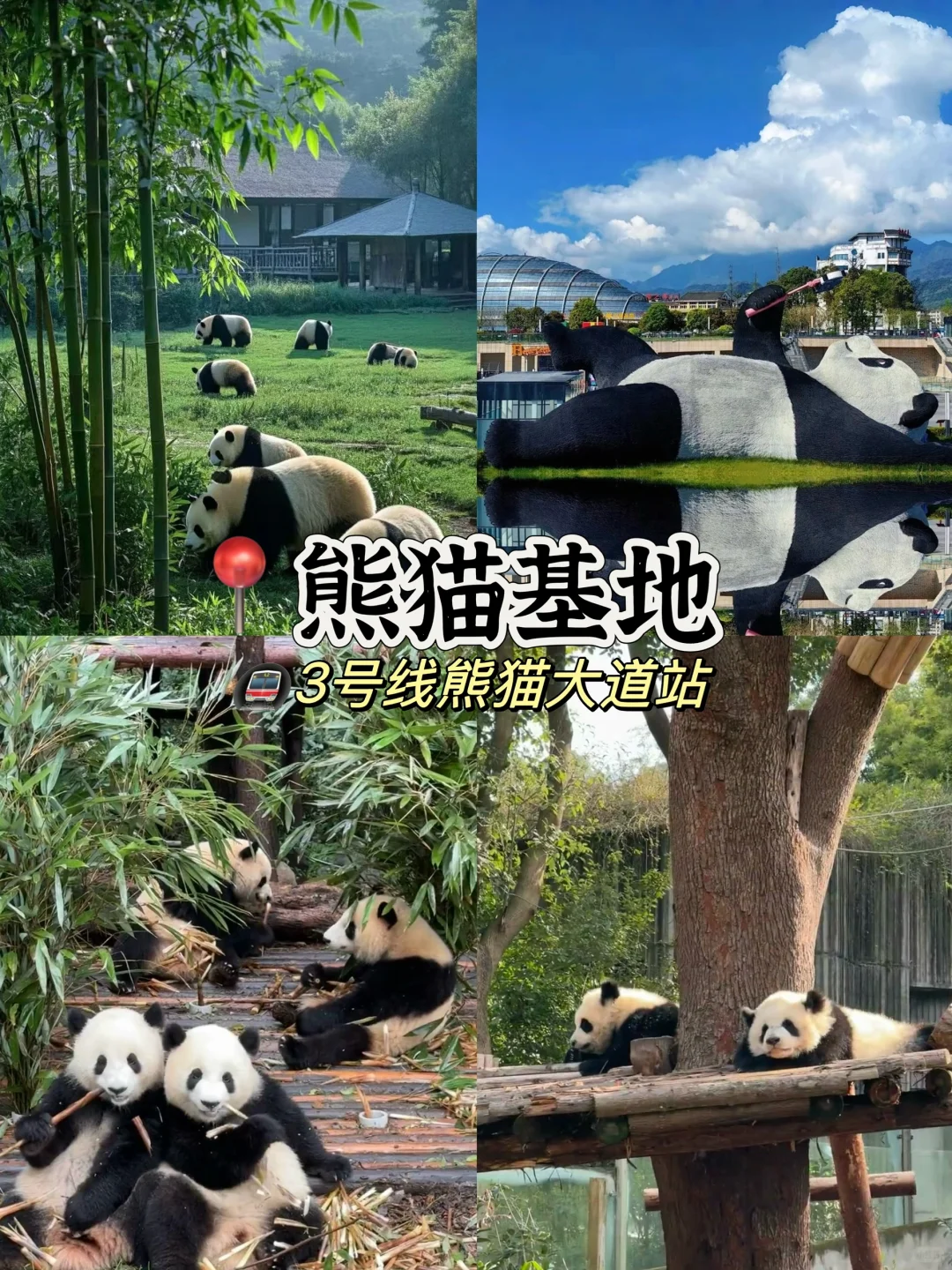 成都必玩🔥十大景点游玩攻略⁉️