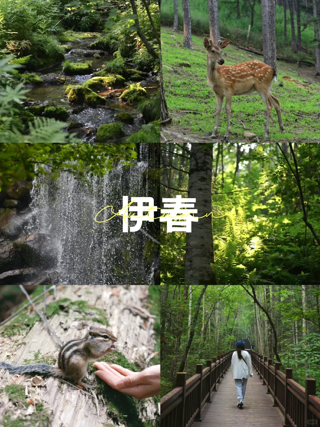 炎炎夏日，在20℃的伊春避暑🍃