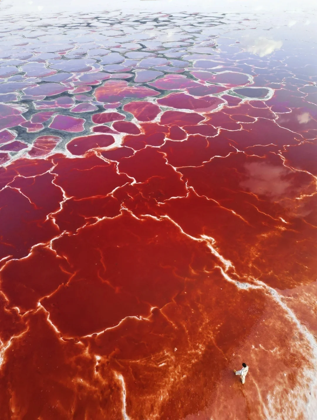 地球的心脏🫀我在小红书跟风最成功的一次…