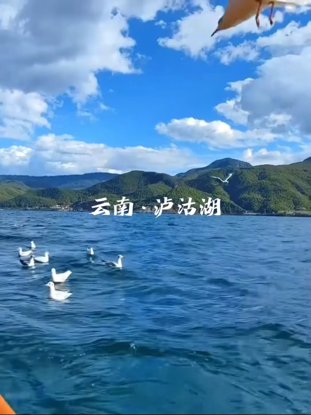 高考后云南毕业旅行|青春不留遗憾攻略