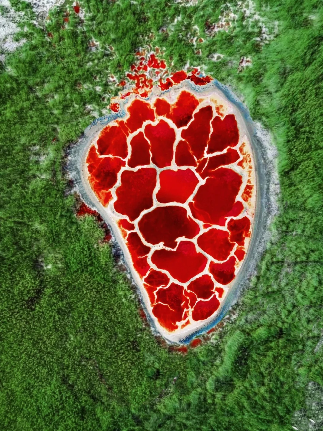 地球的心脏🫀我在小红书跟风最成功的一次…