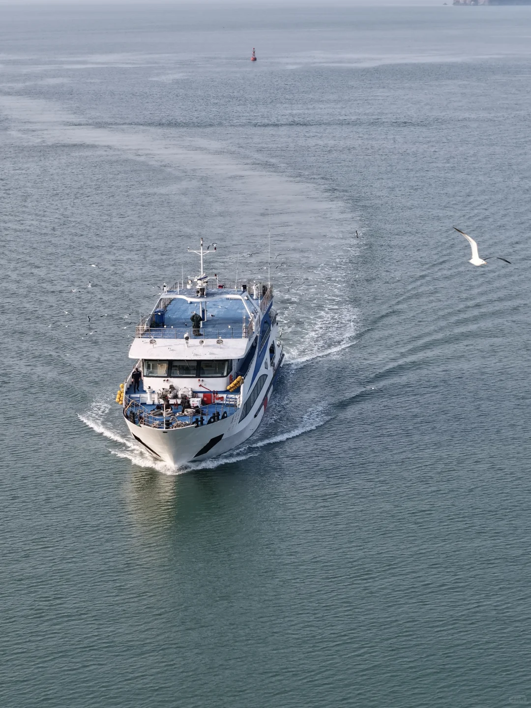 第一次去威海❗️直接复制这条citywalk攻略