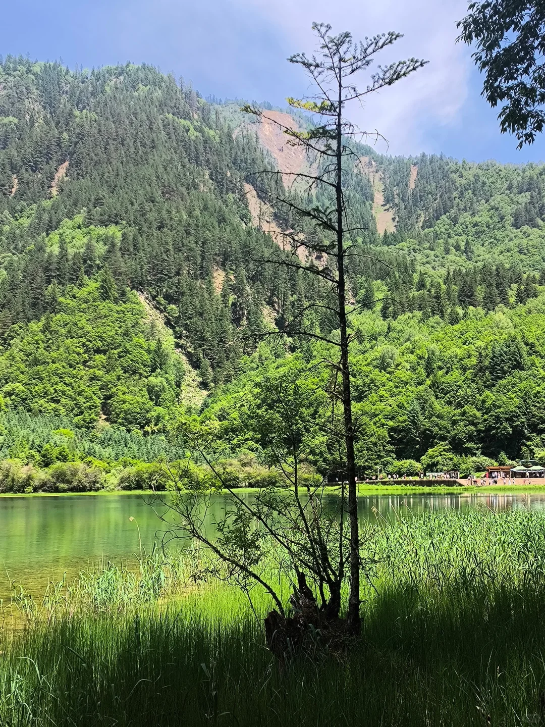 6.16📍九寨沟崩溃已回，要来的慎重考虑