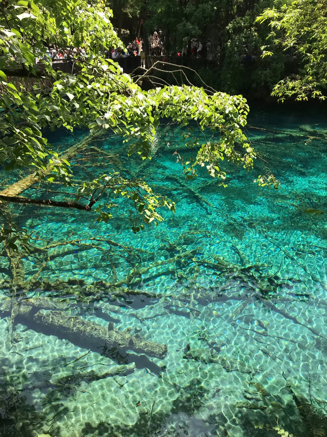 6.16📍九寨沟崩溃已回，要来的慎重考虑