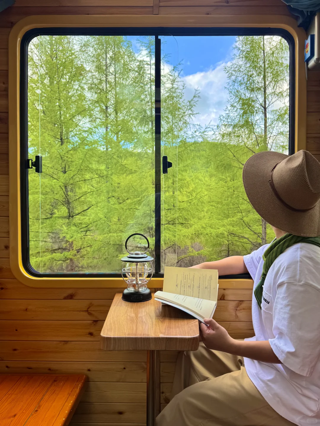 live直出!初夏的呼伦贝尔赢麻了~