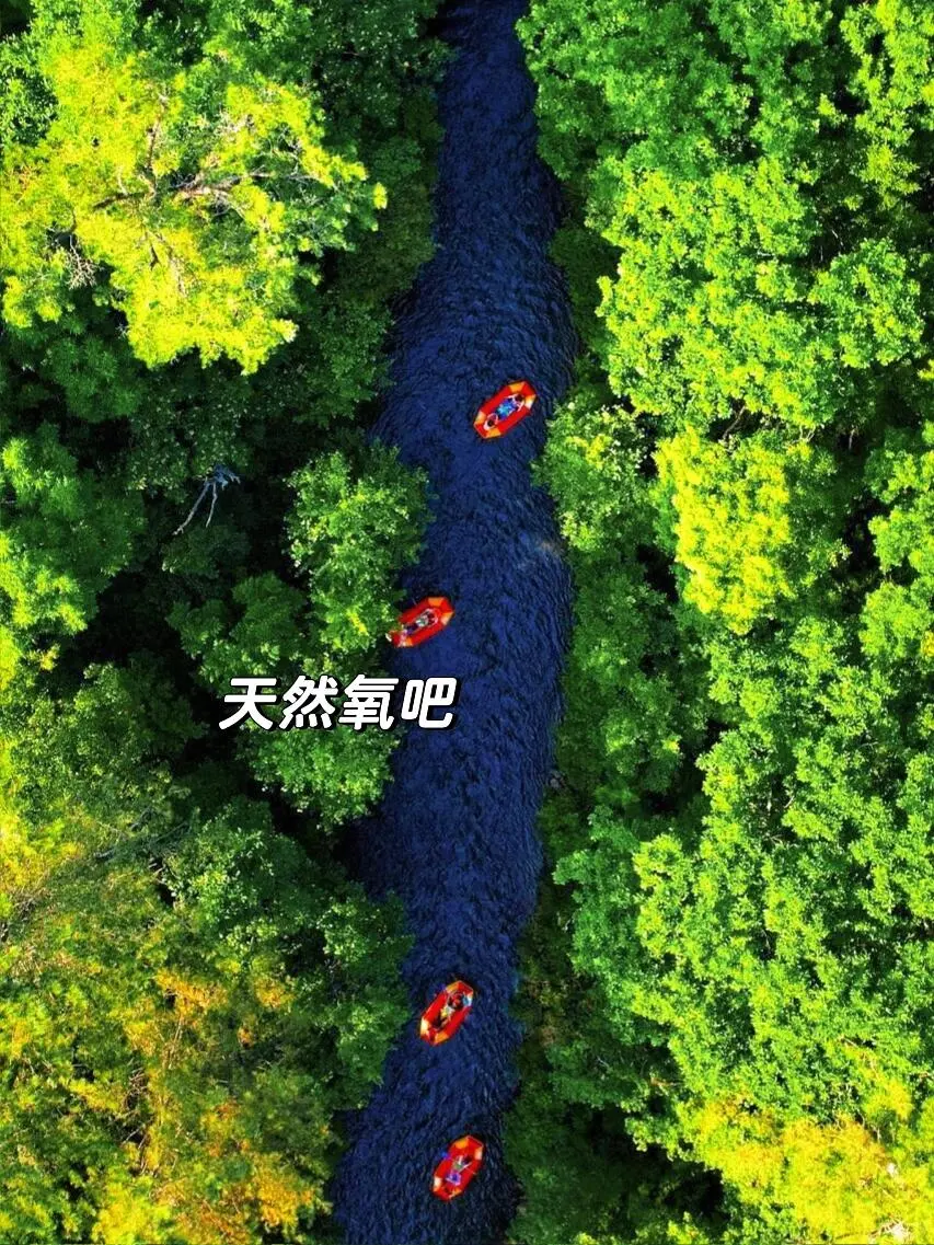 人生建议：6-8月一定要来22℃的长白山避暑💦