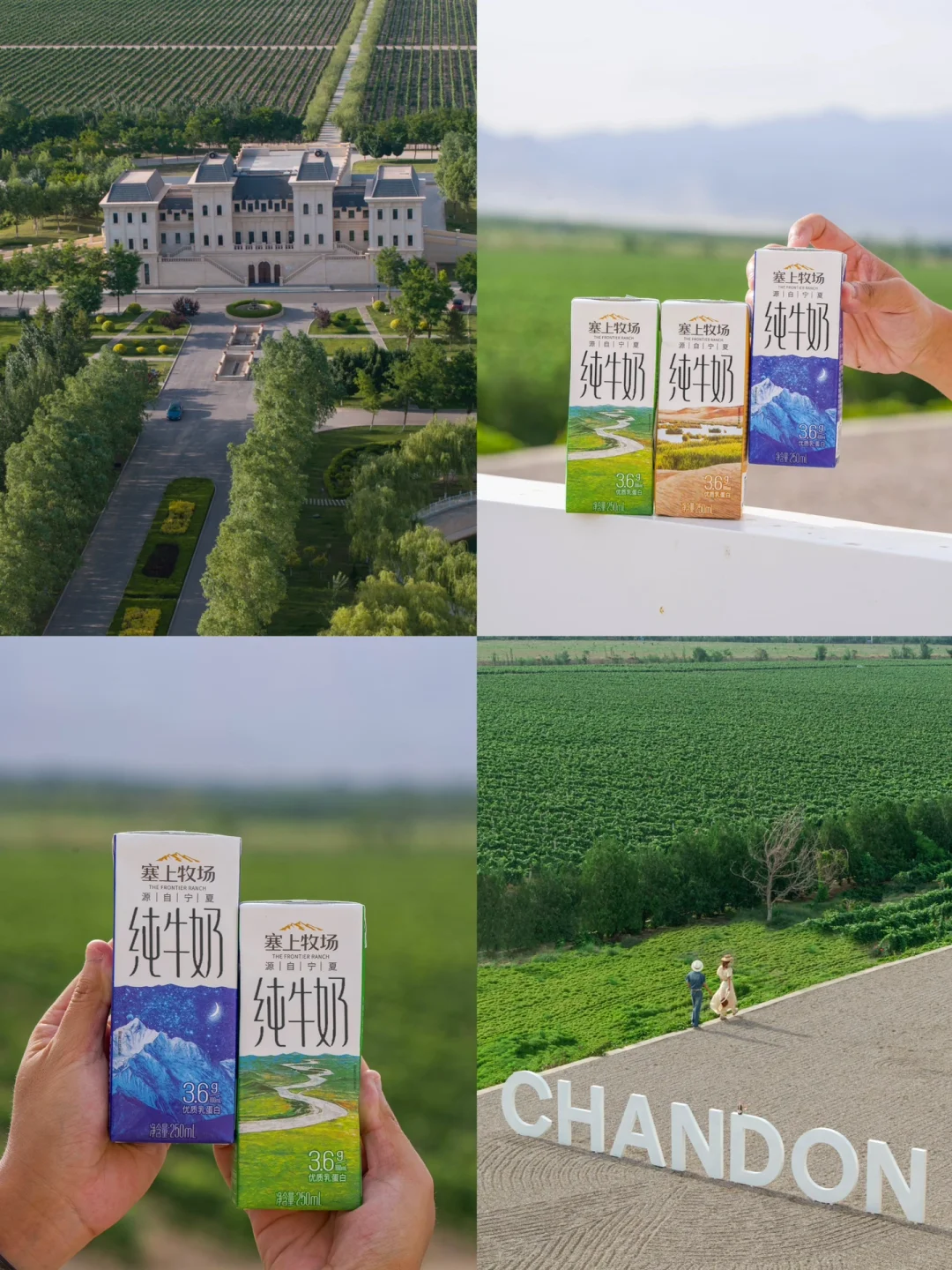 以为宁夏已经够美了，直到我们去了……