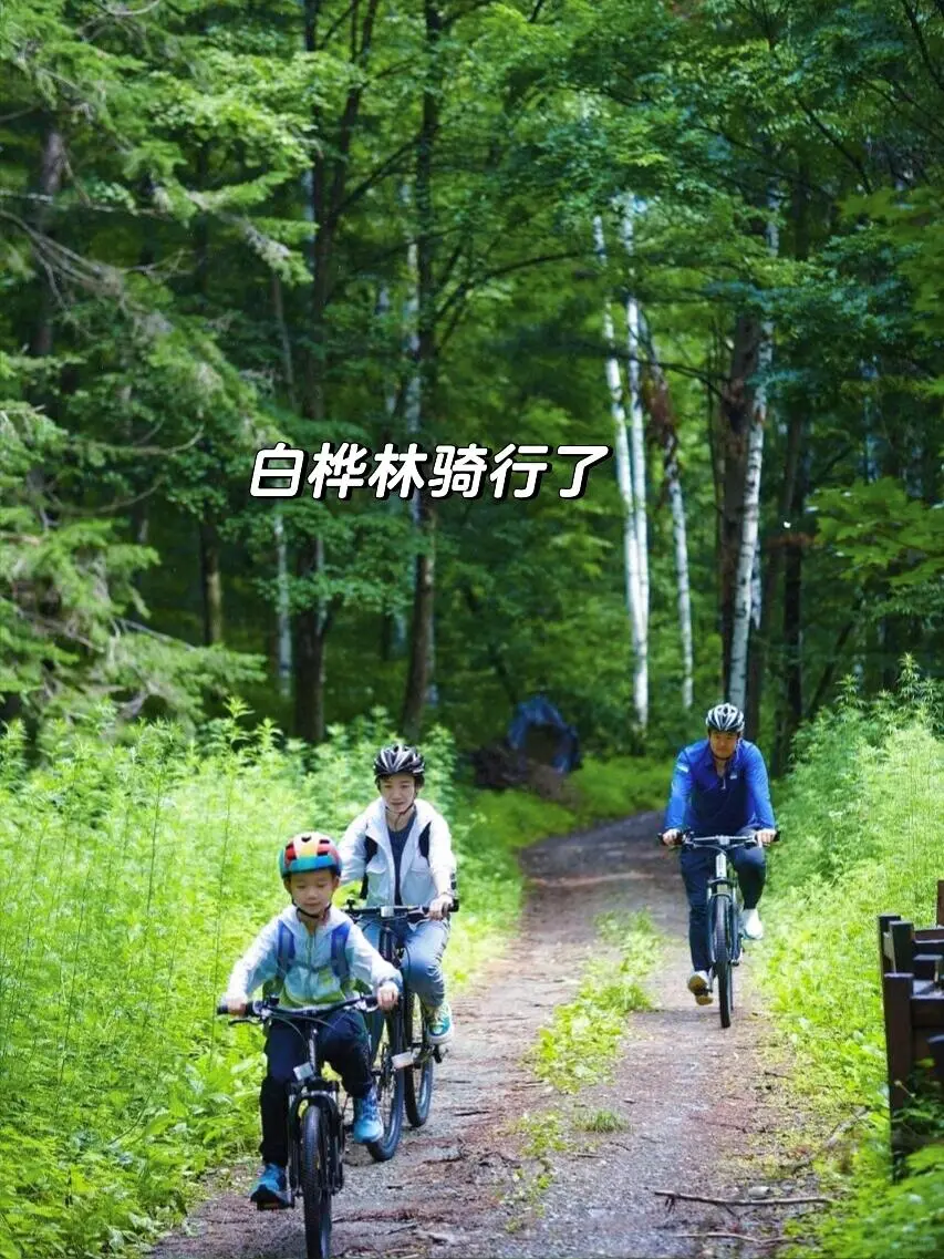 人生建议：6-8月一定要来22℃的长白山避暑💦