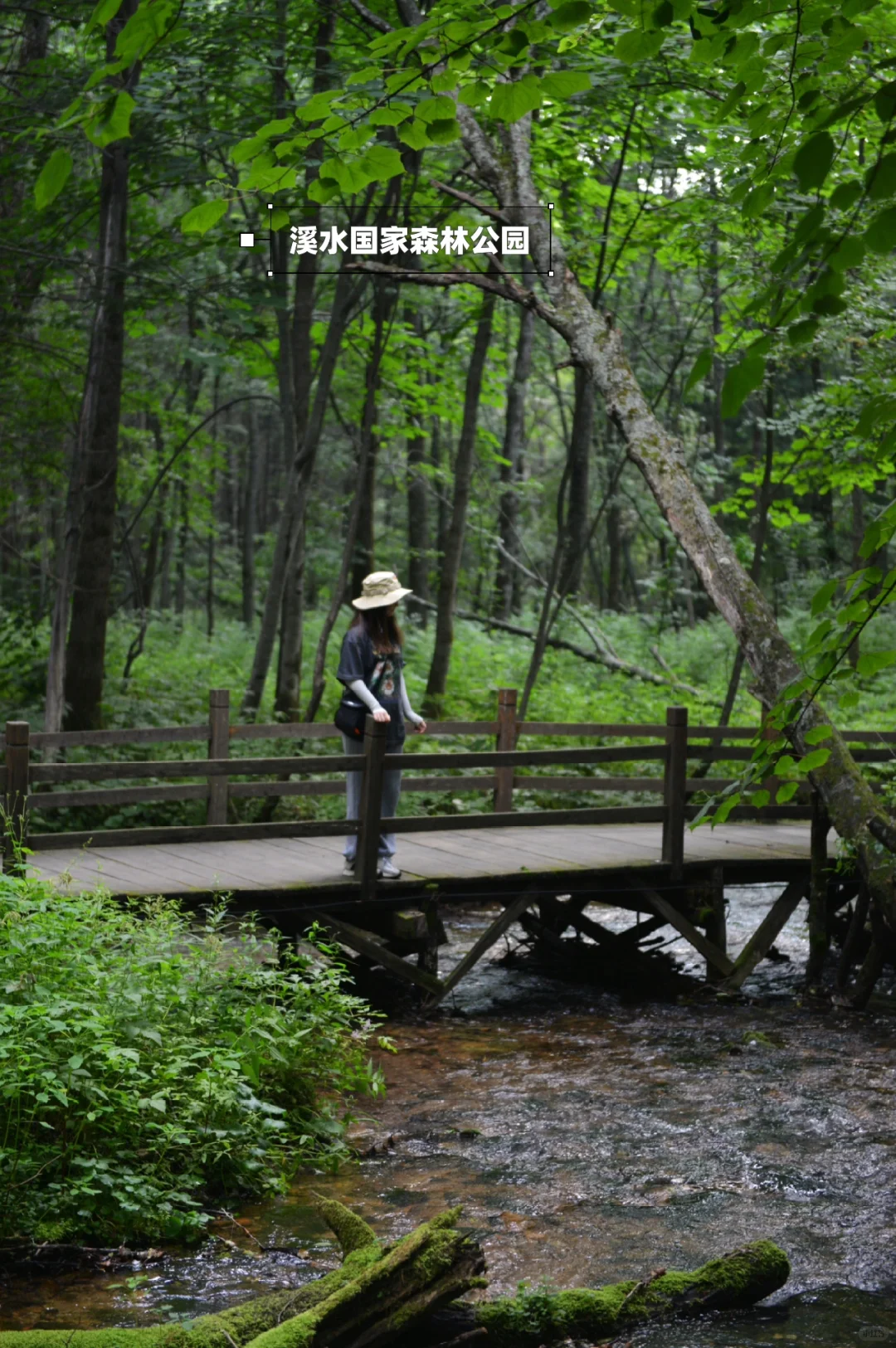 炎炎夏日，在20℃的伊春避暑🍃